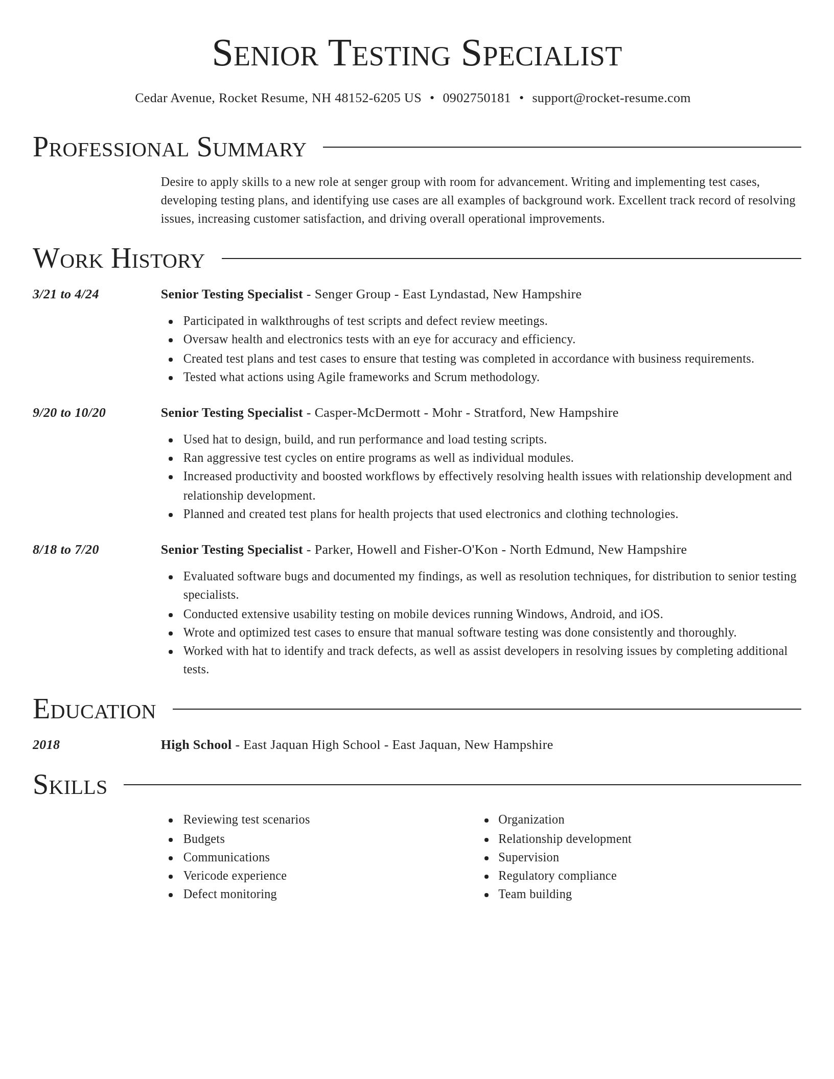 Director resume template