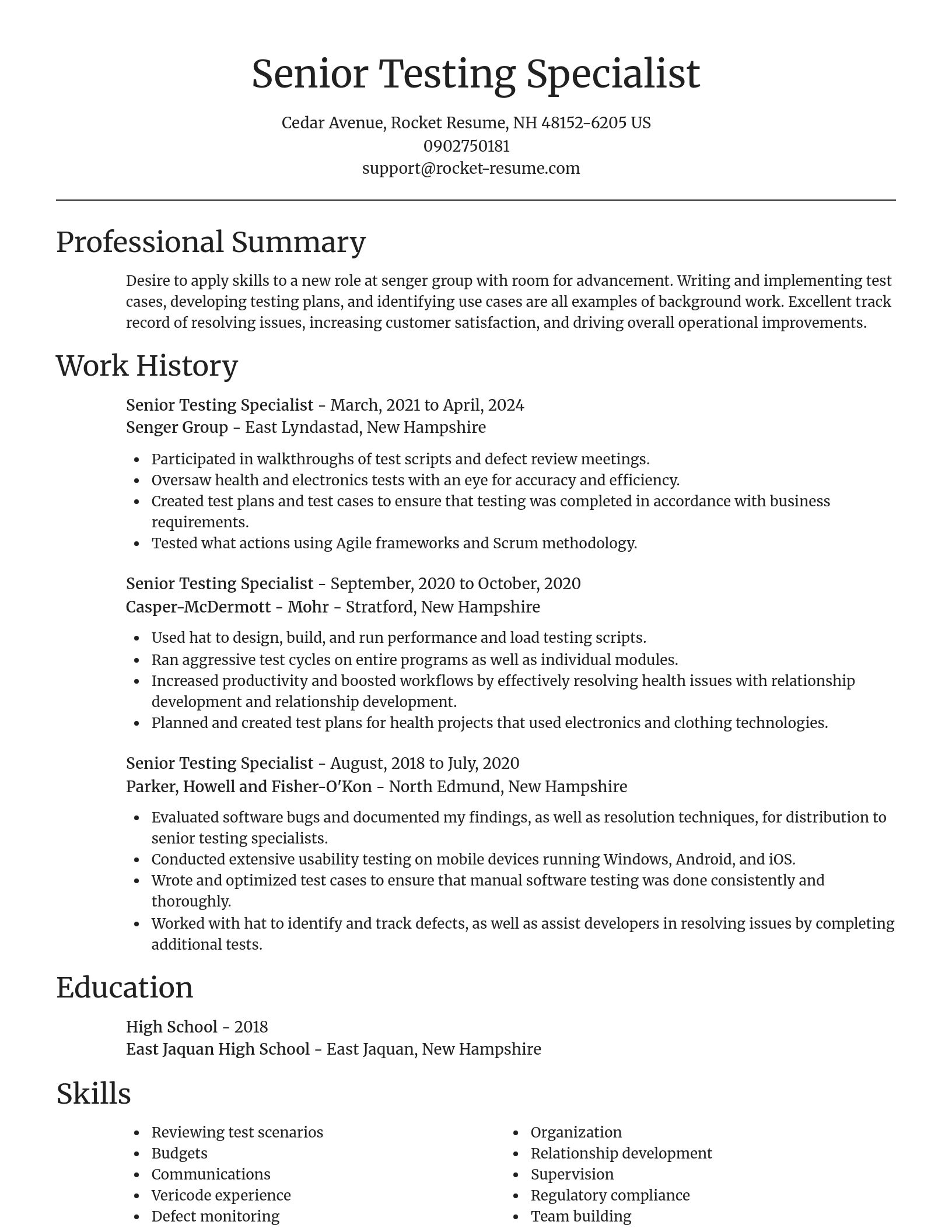 Focal Point resume template