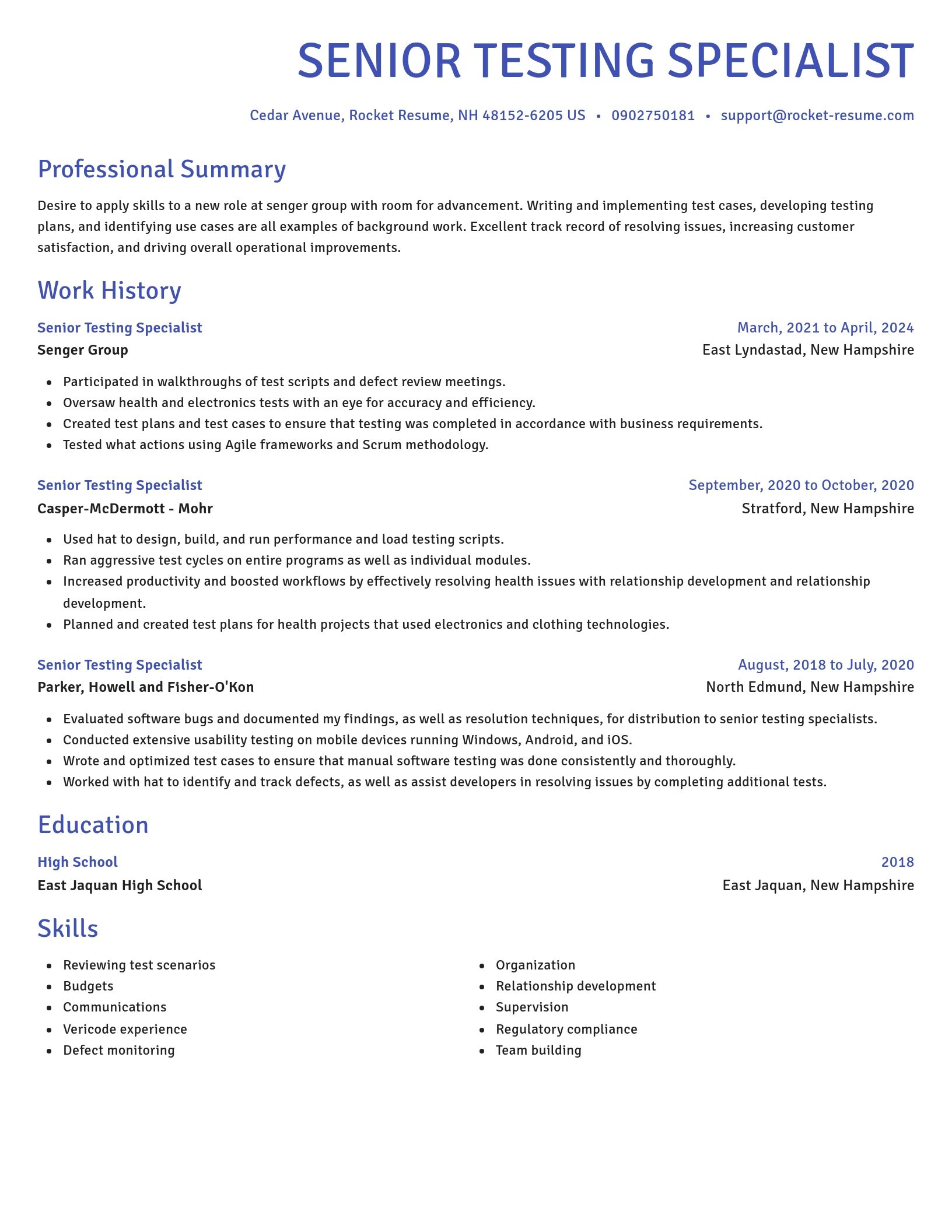Novel resume template