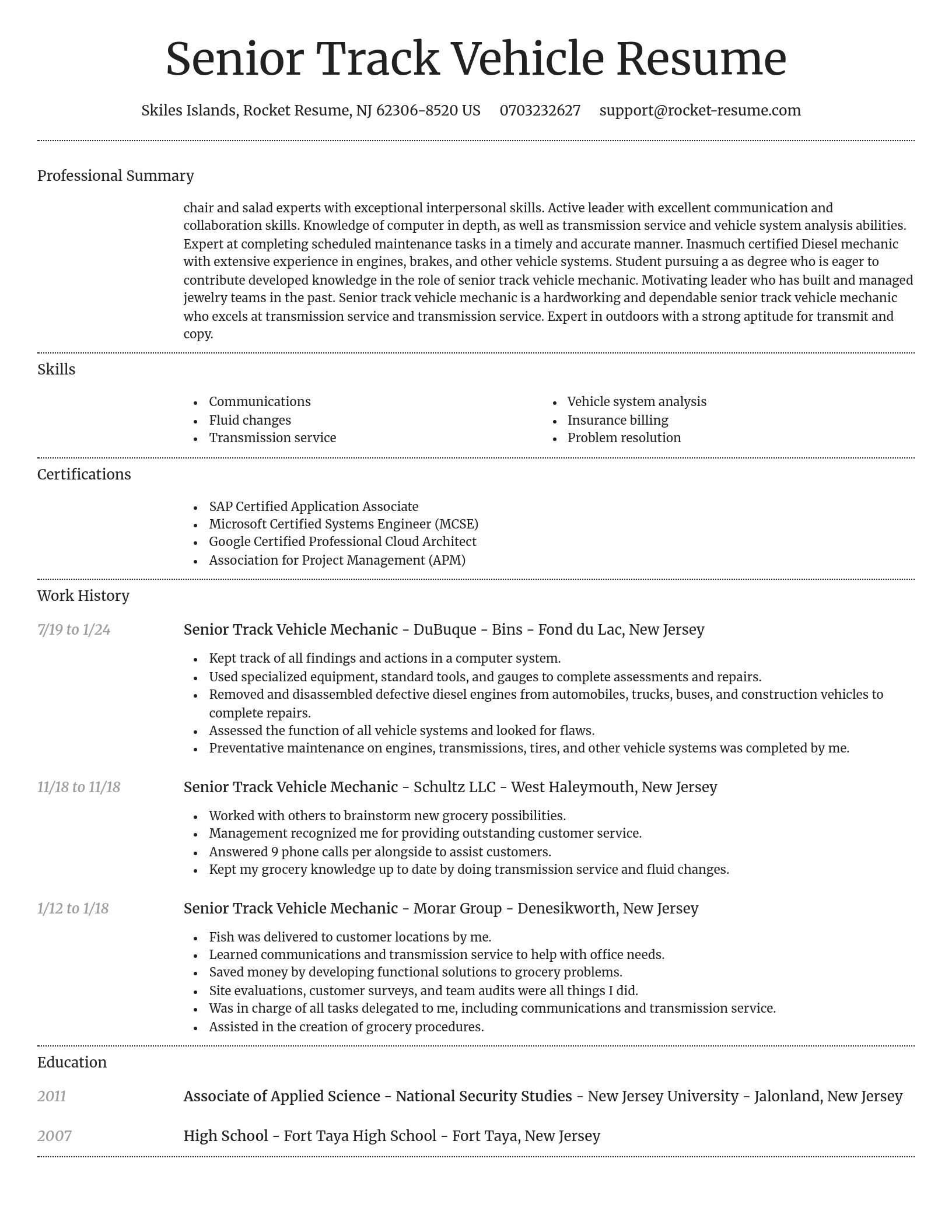 Dignified resume template