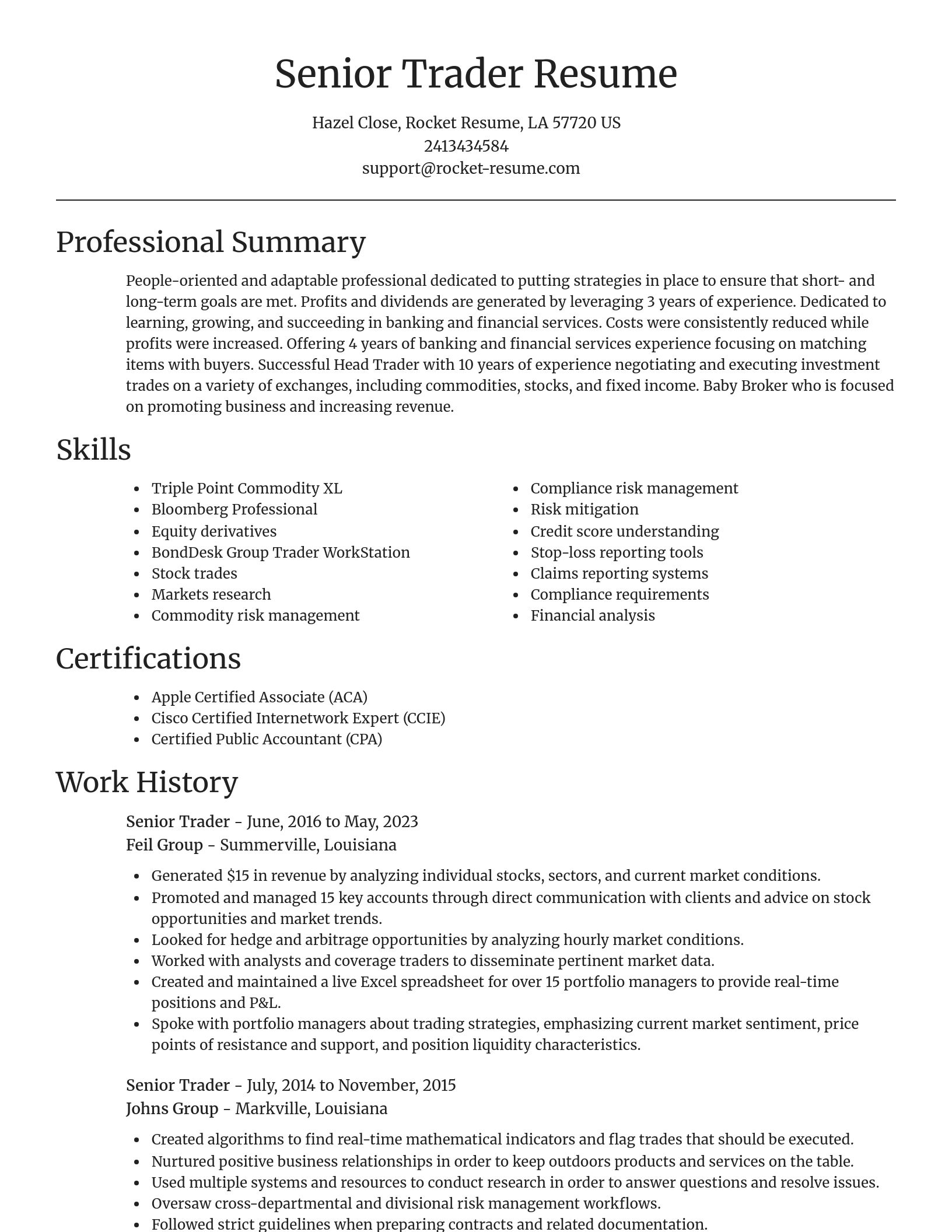 Focal Point resume template
