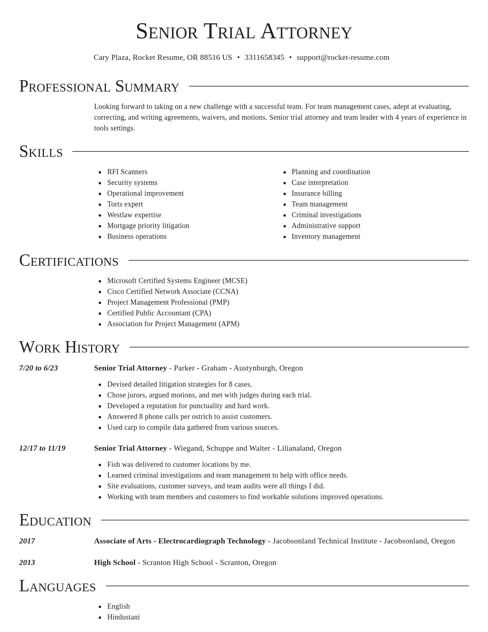 Director resume template