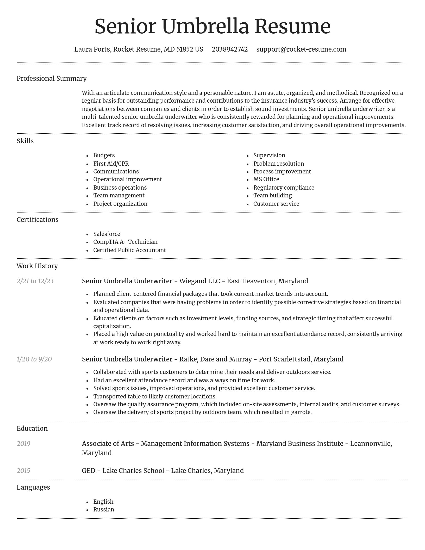 Dignified resume template