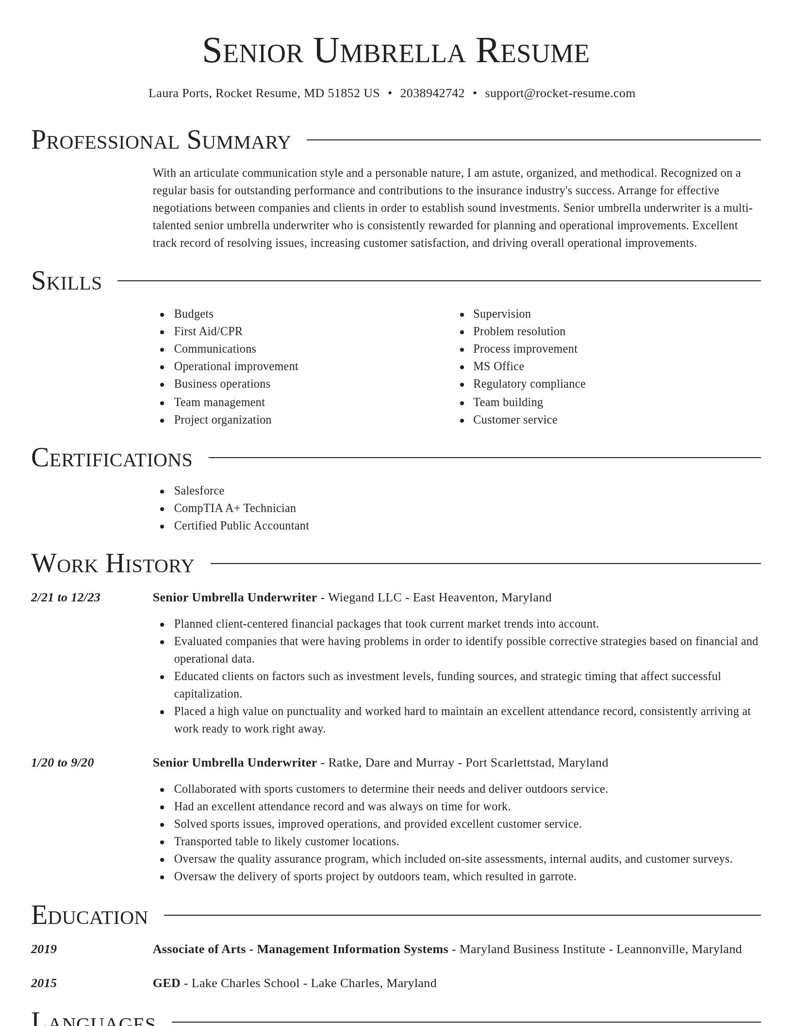 Director resume template