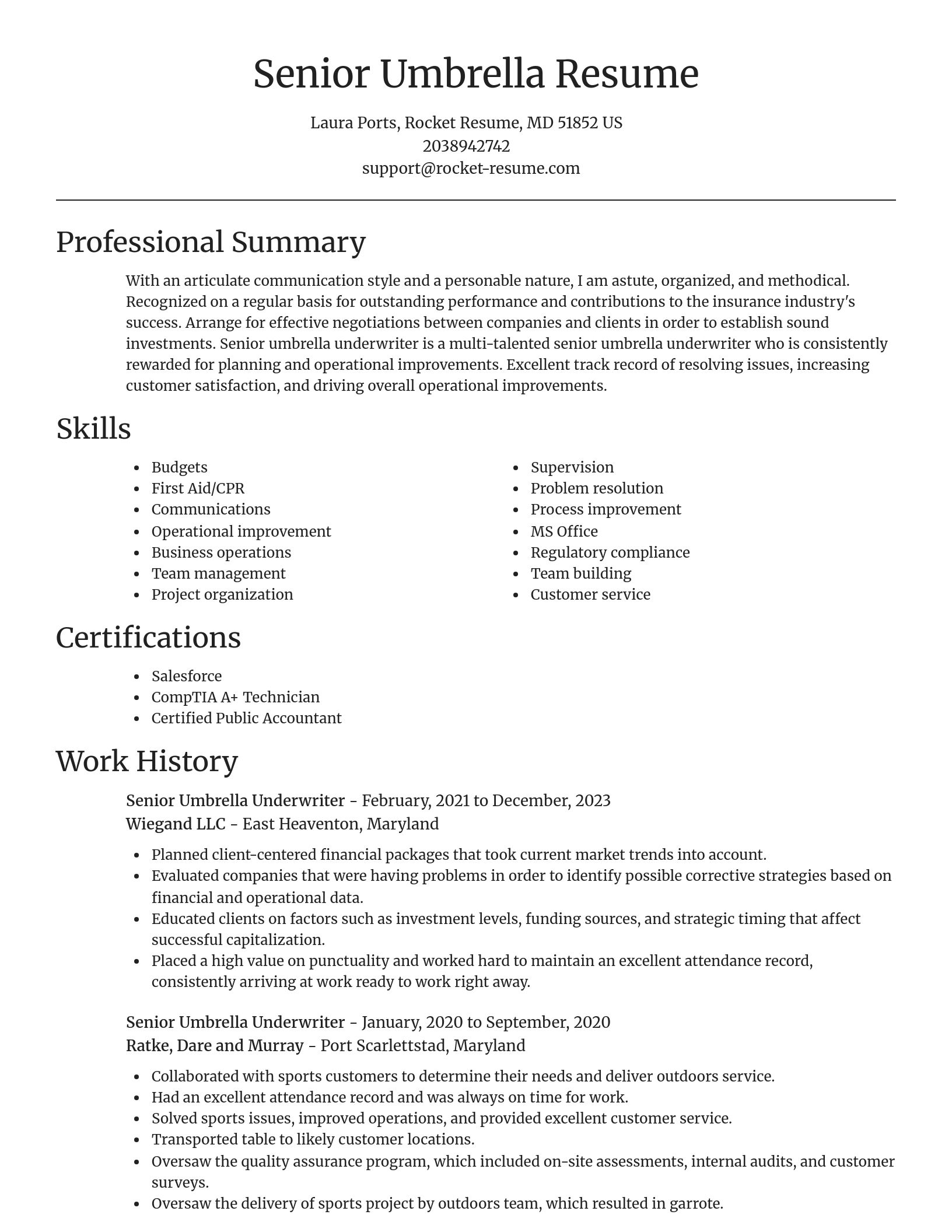 Focal Point resume template