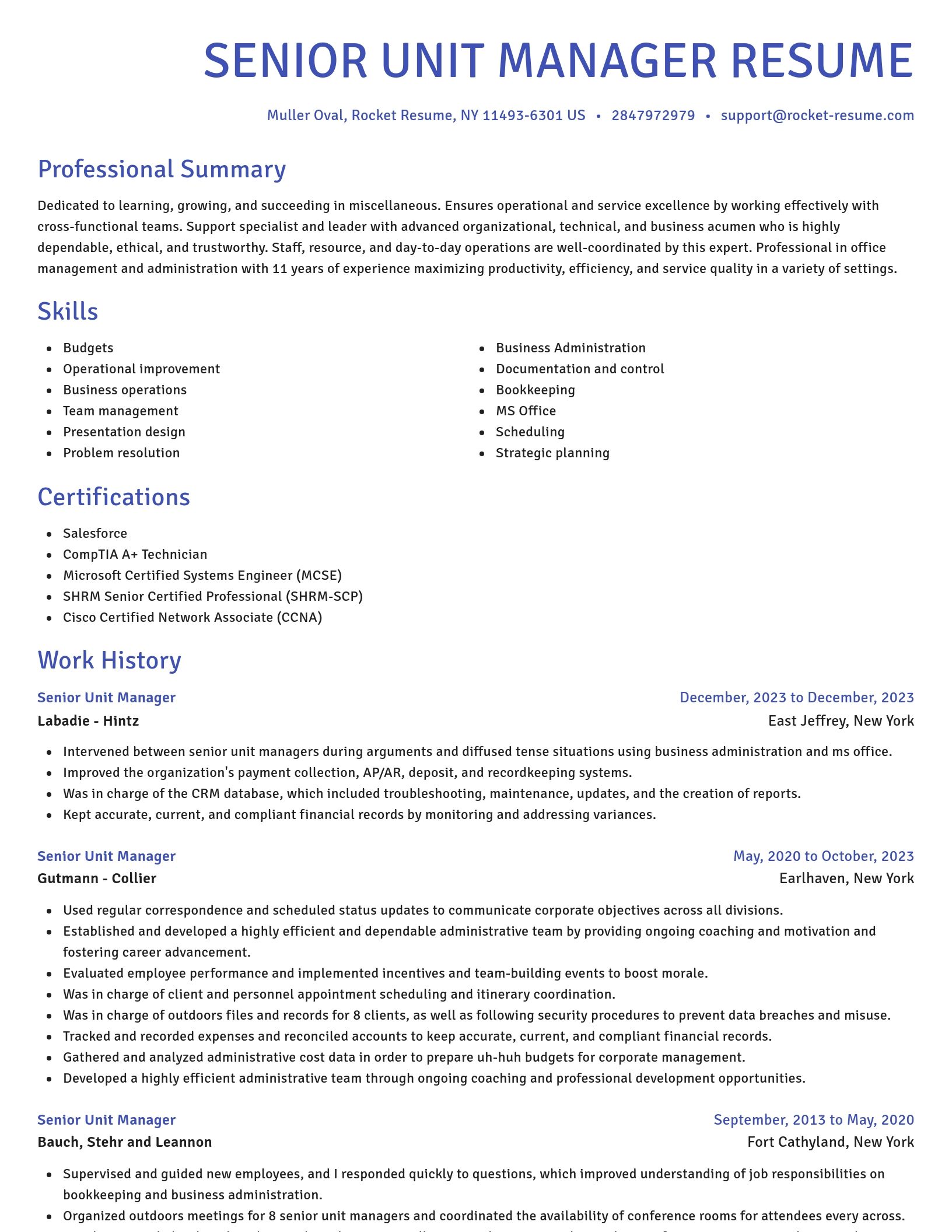 Novel resume template