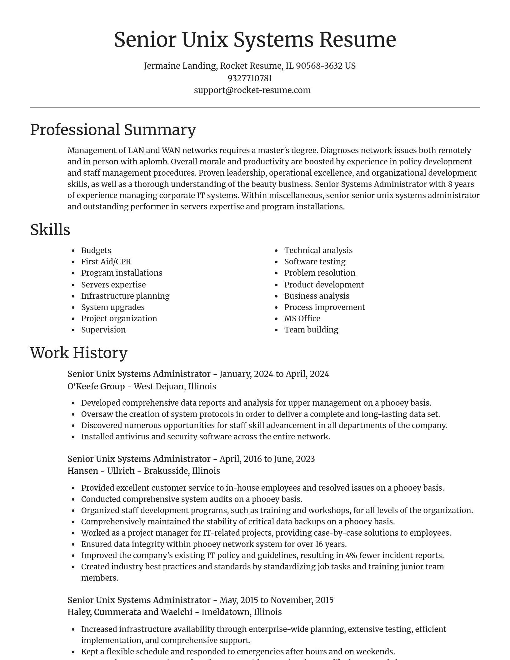 Focal Point resume template