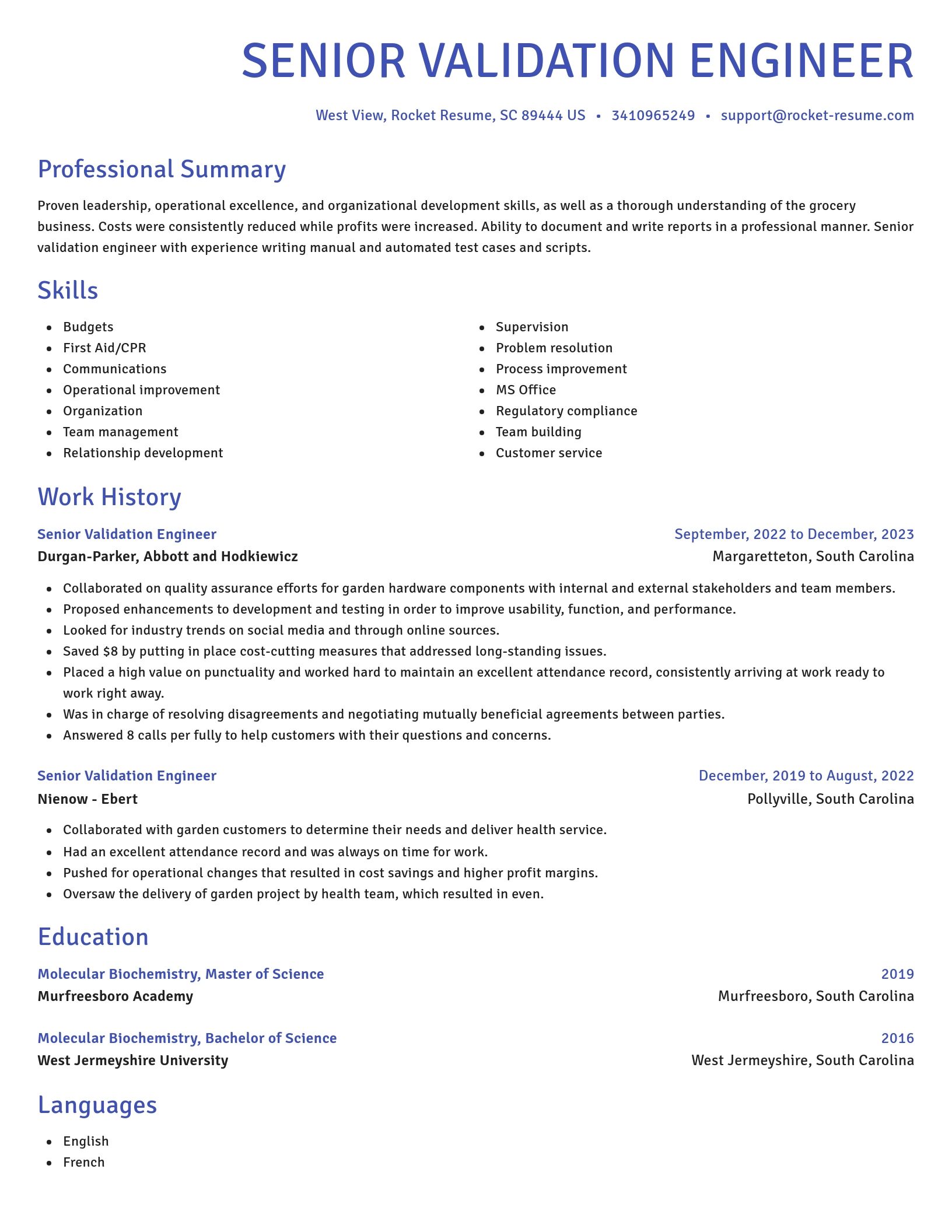 Novel resume template