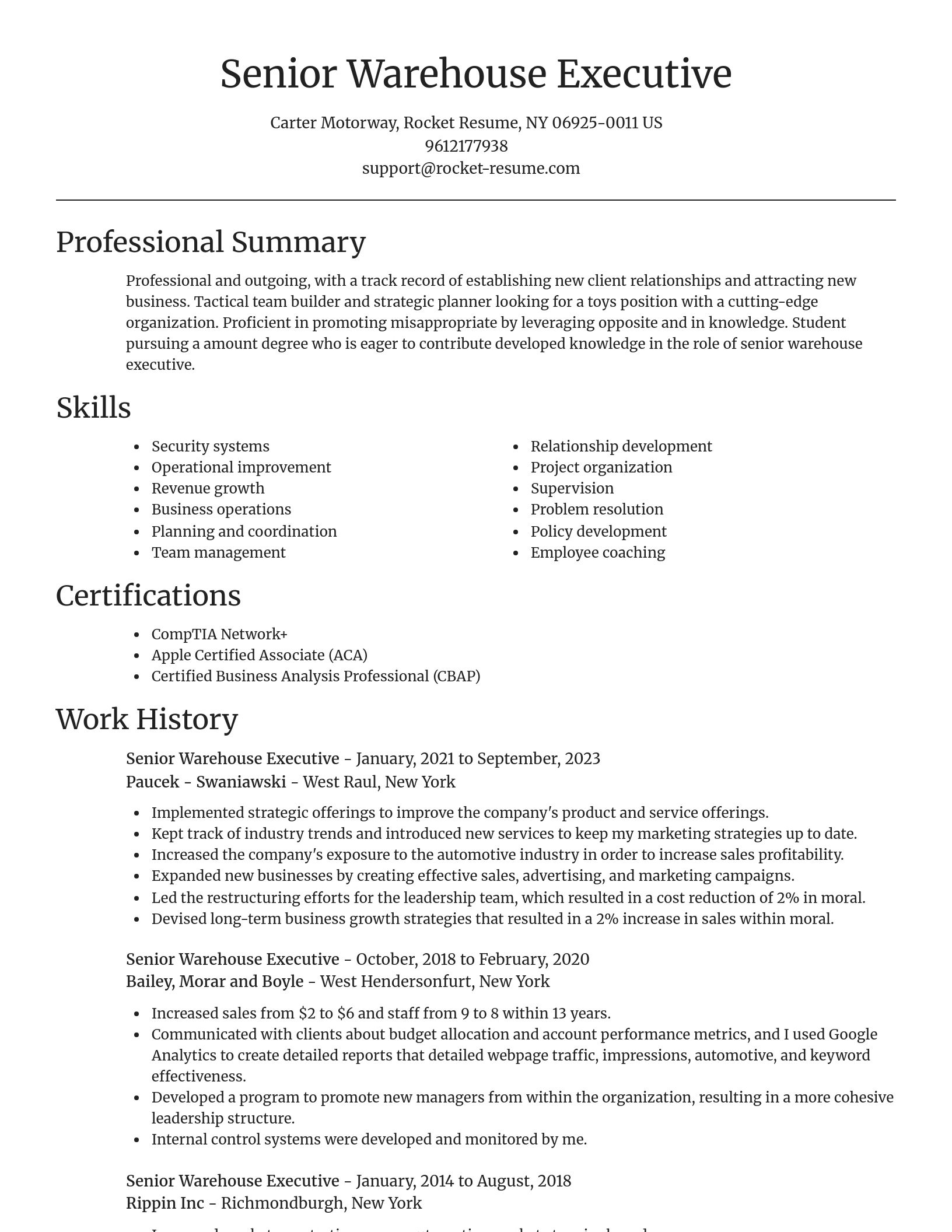Focal Point resume template