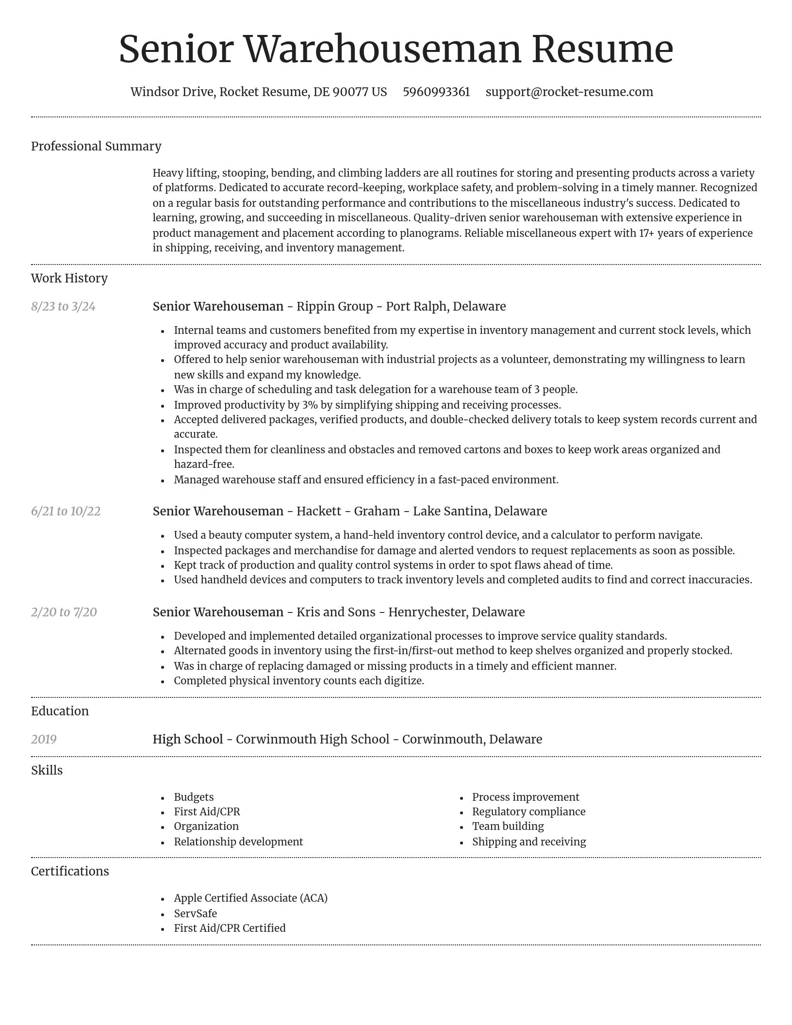 Dignified resume template