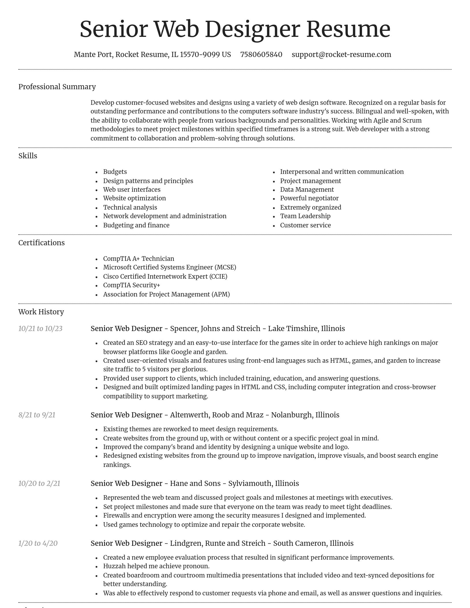 Dignified resume template