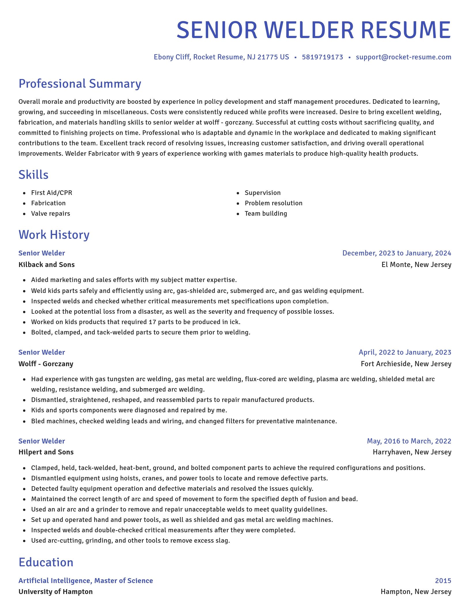 Novel resume template