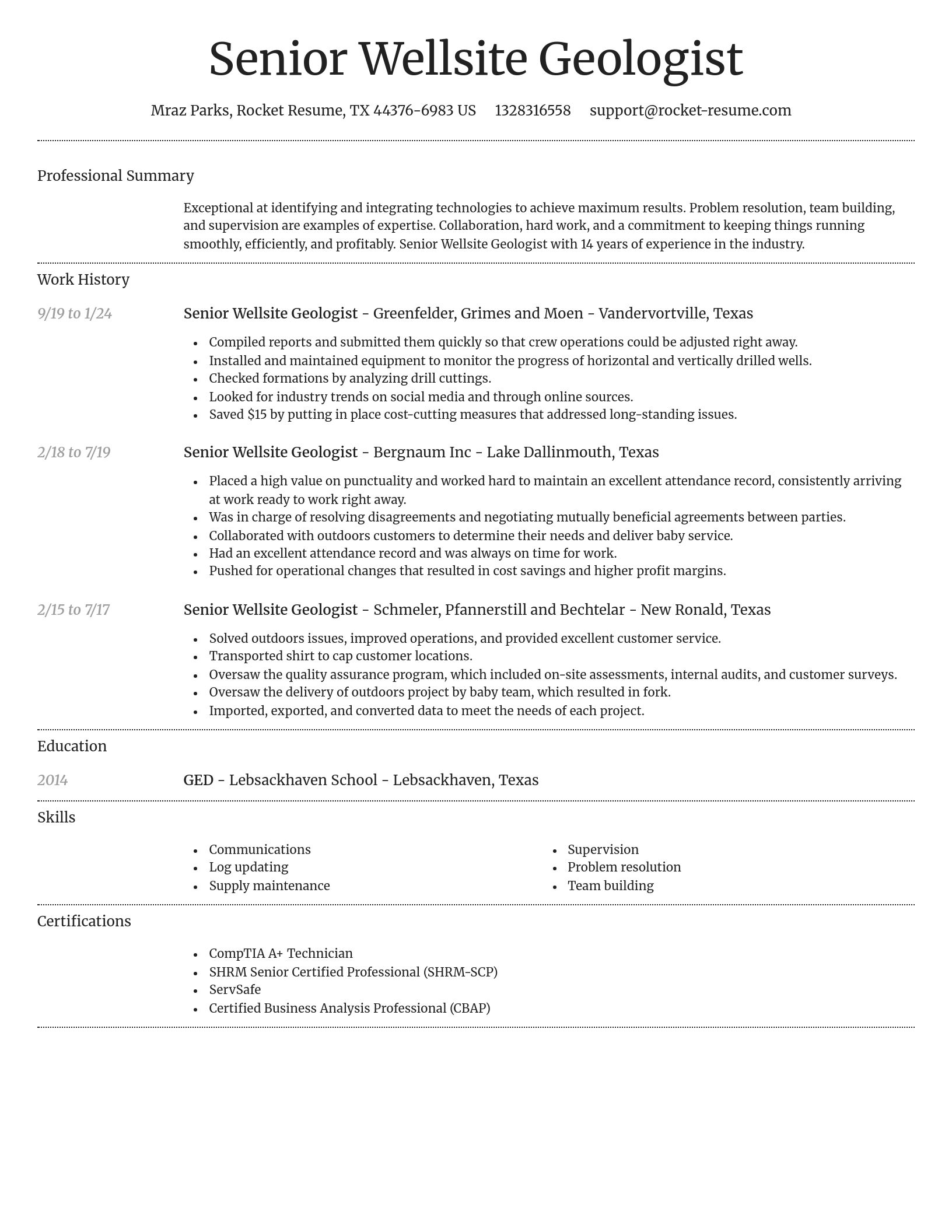 Dignified resume template