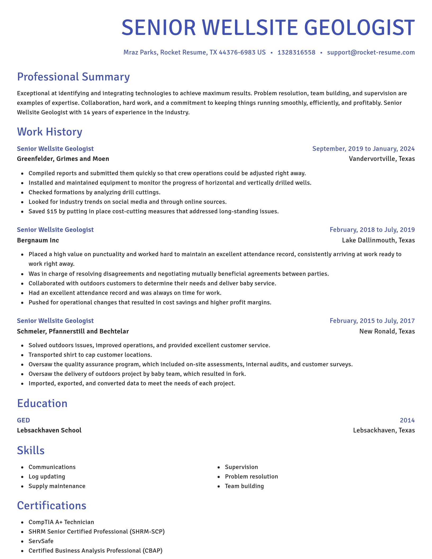 Novel resume template