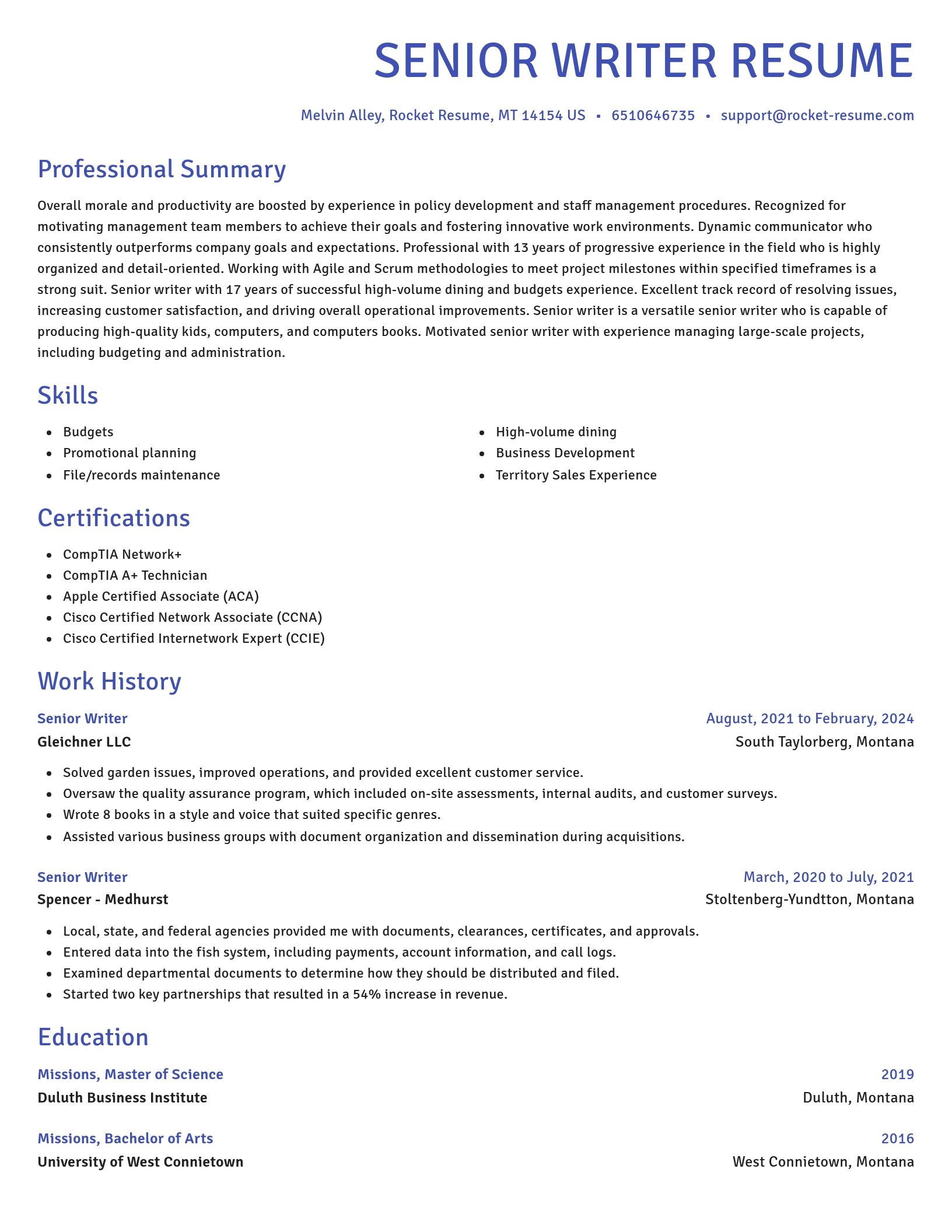 Novel resume template