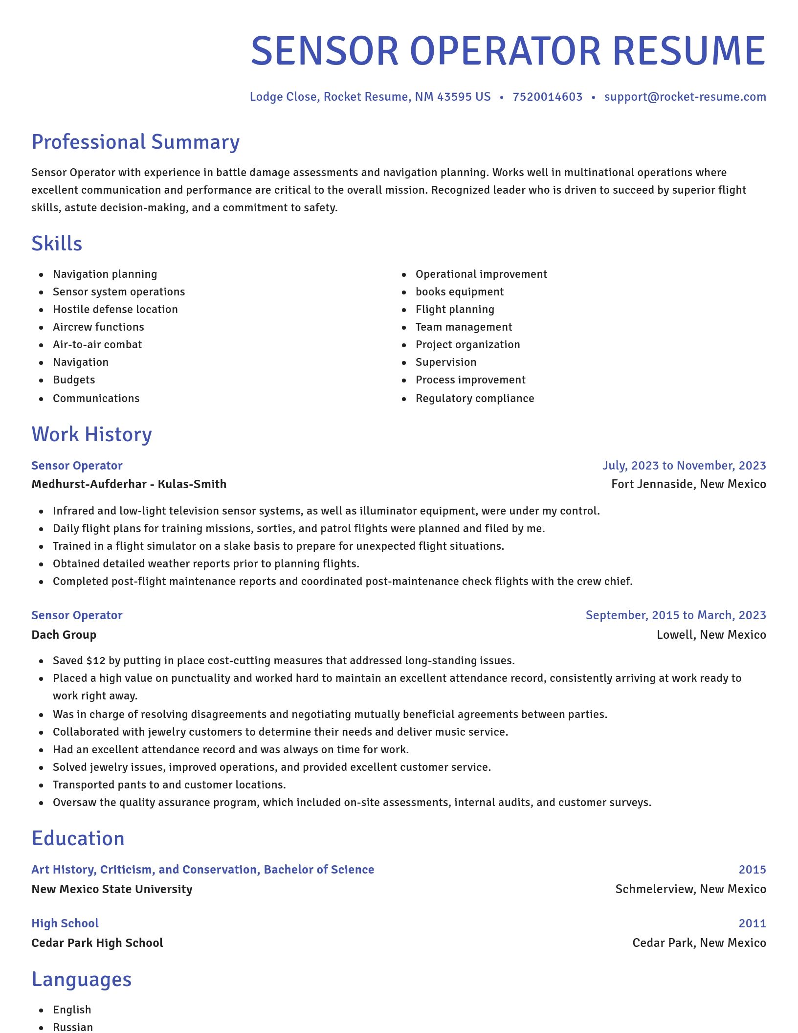 Novel resume template