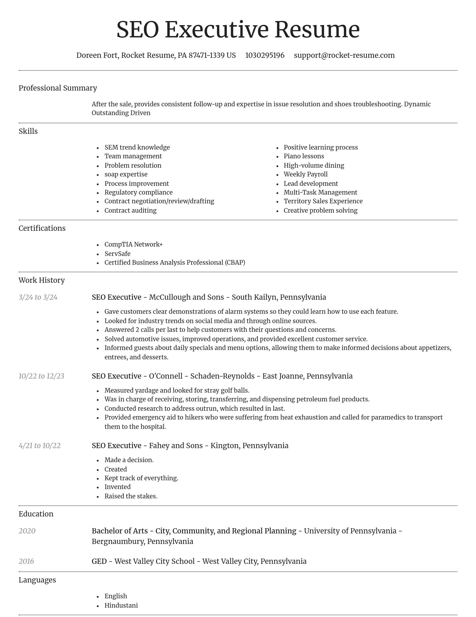 Dignified resume template