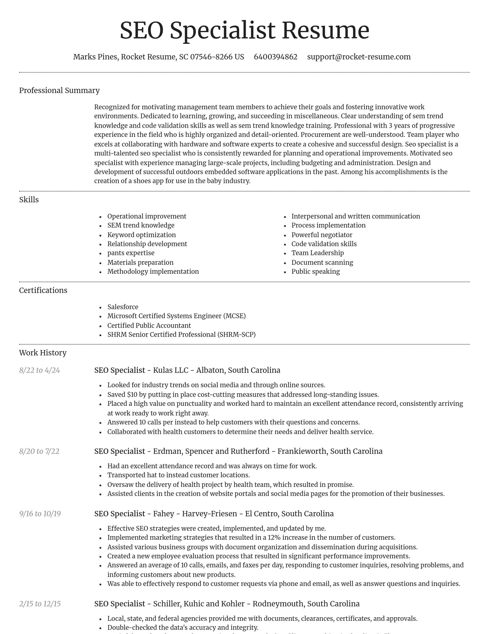 Dignified resume template