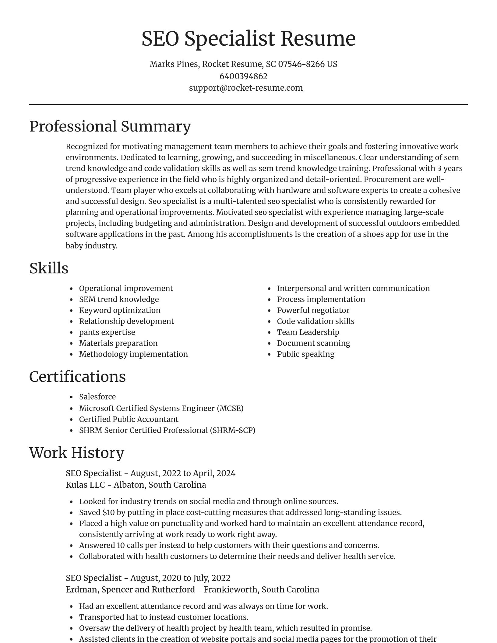 Focal Point resume template
