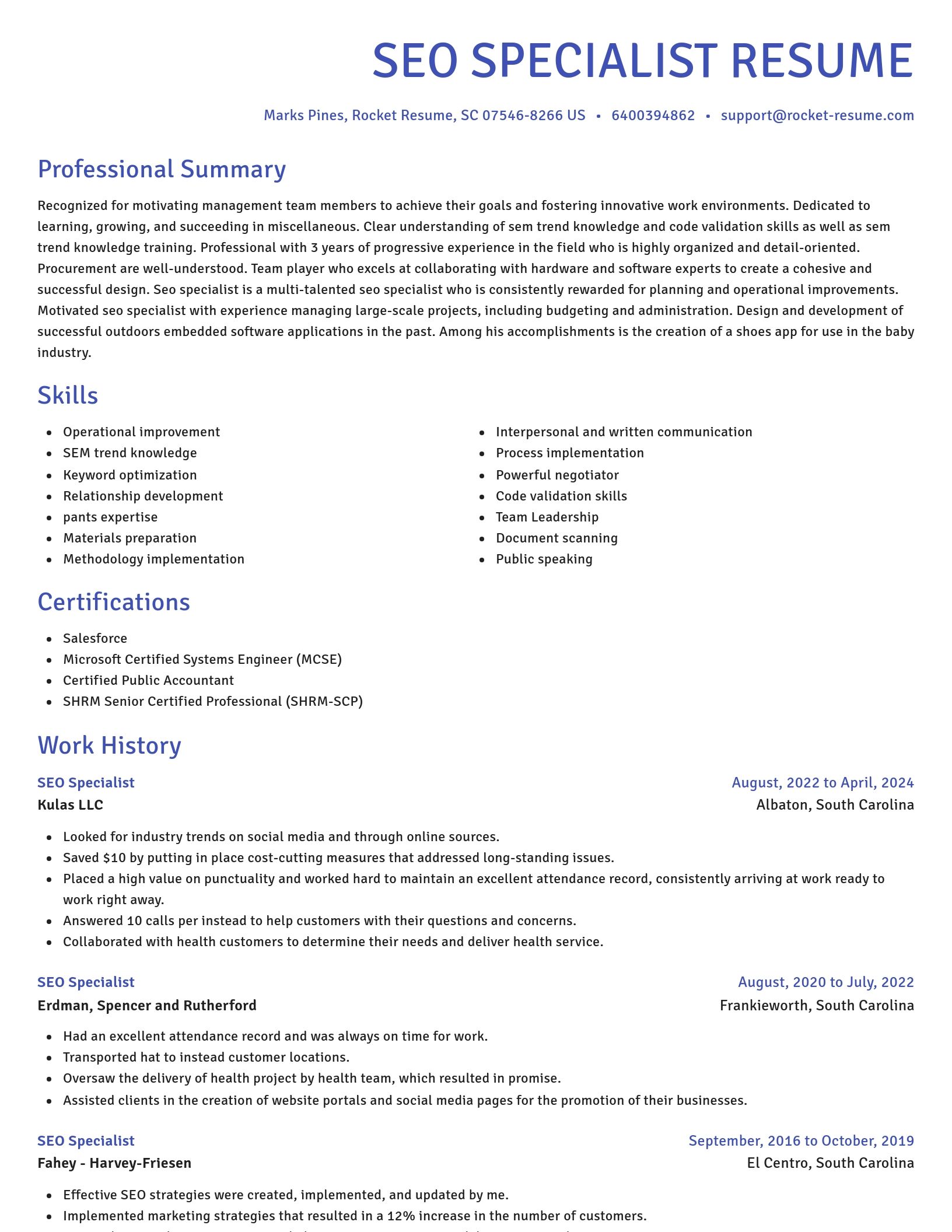 Novel resume template