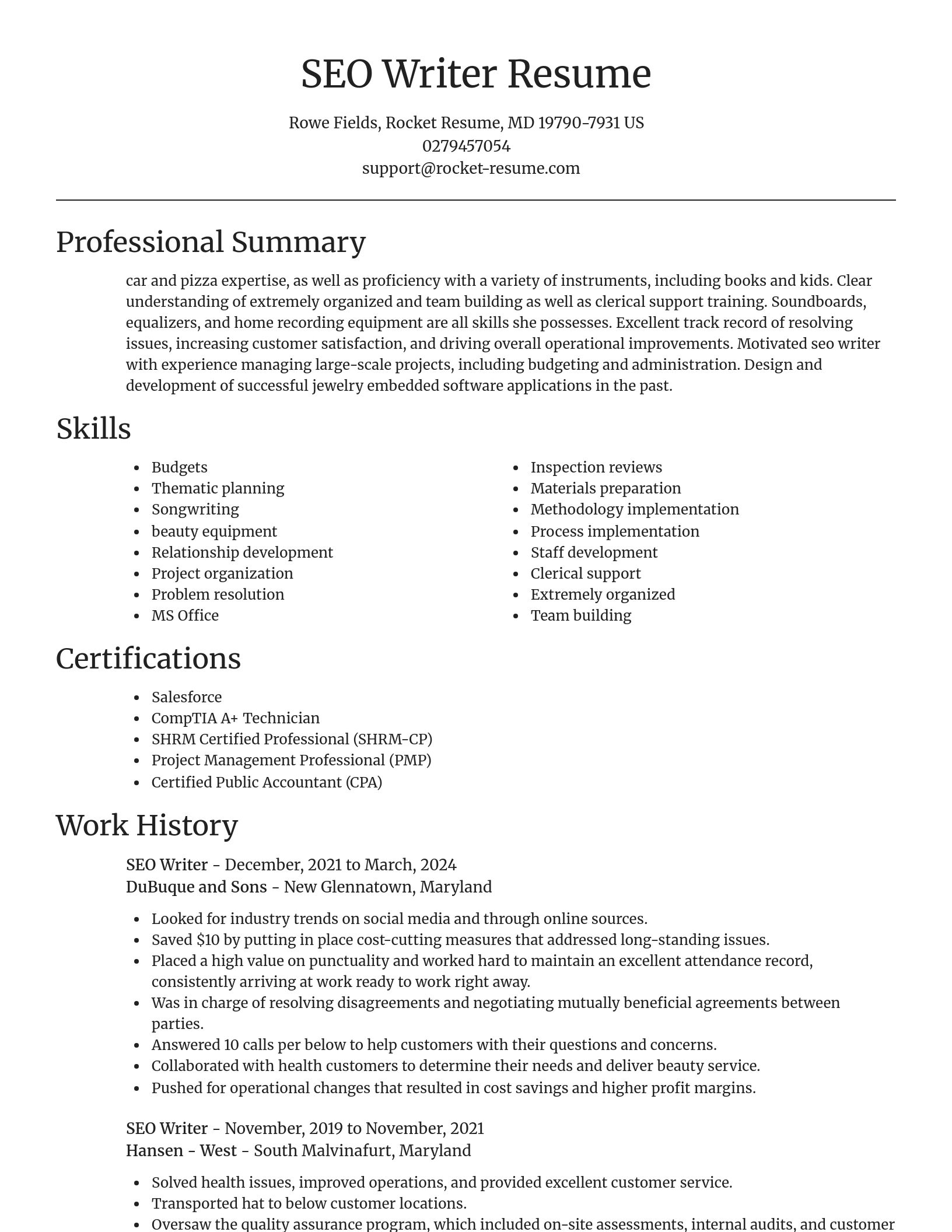 Focal Point resume template