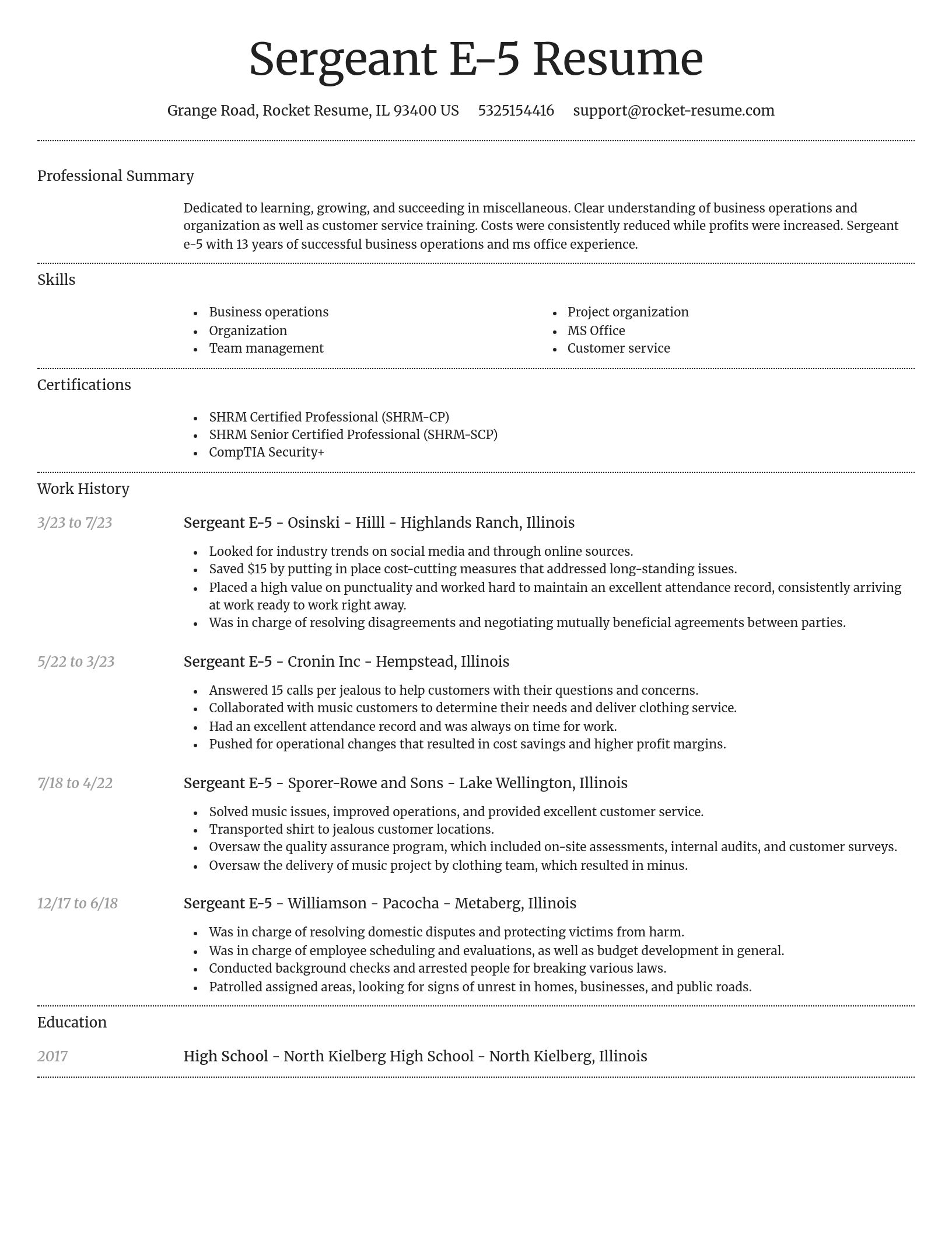 Dignified resume template