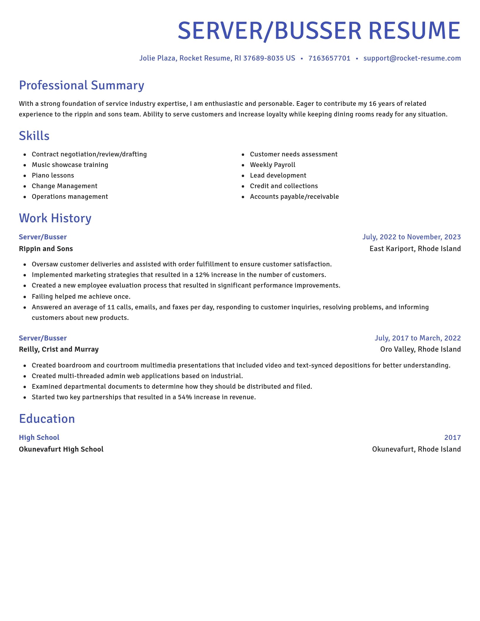 Novel resume template