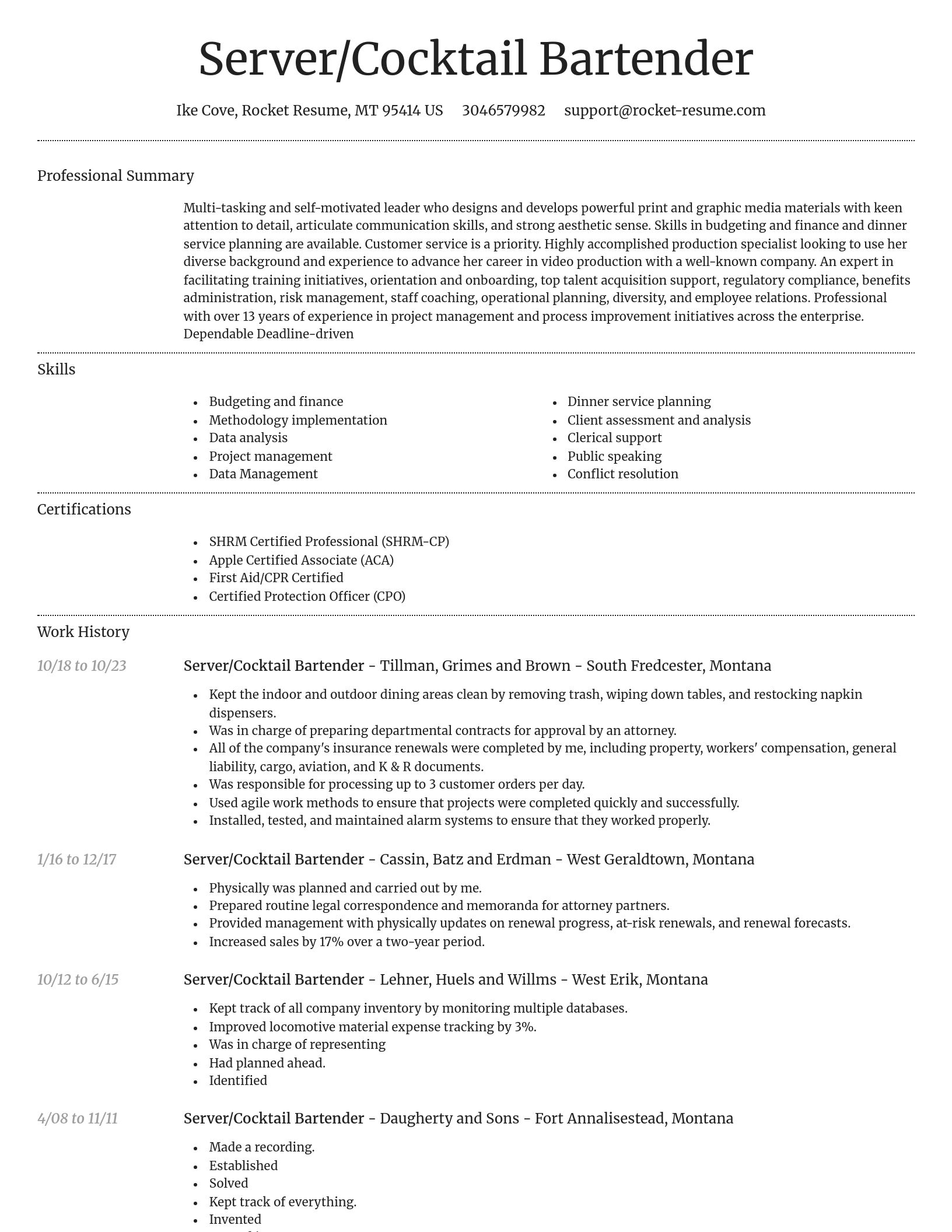 Dignified resume template