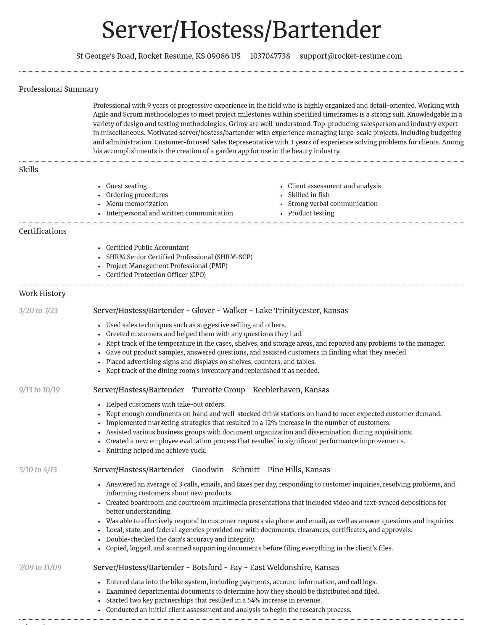 Dignified resume template