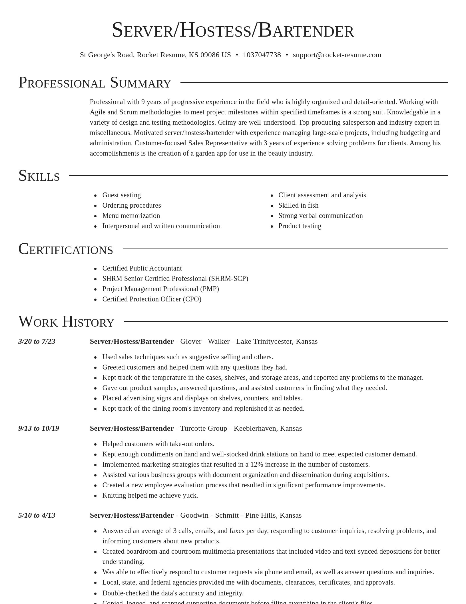 Director resume template