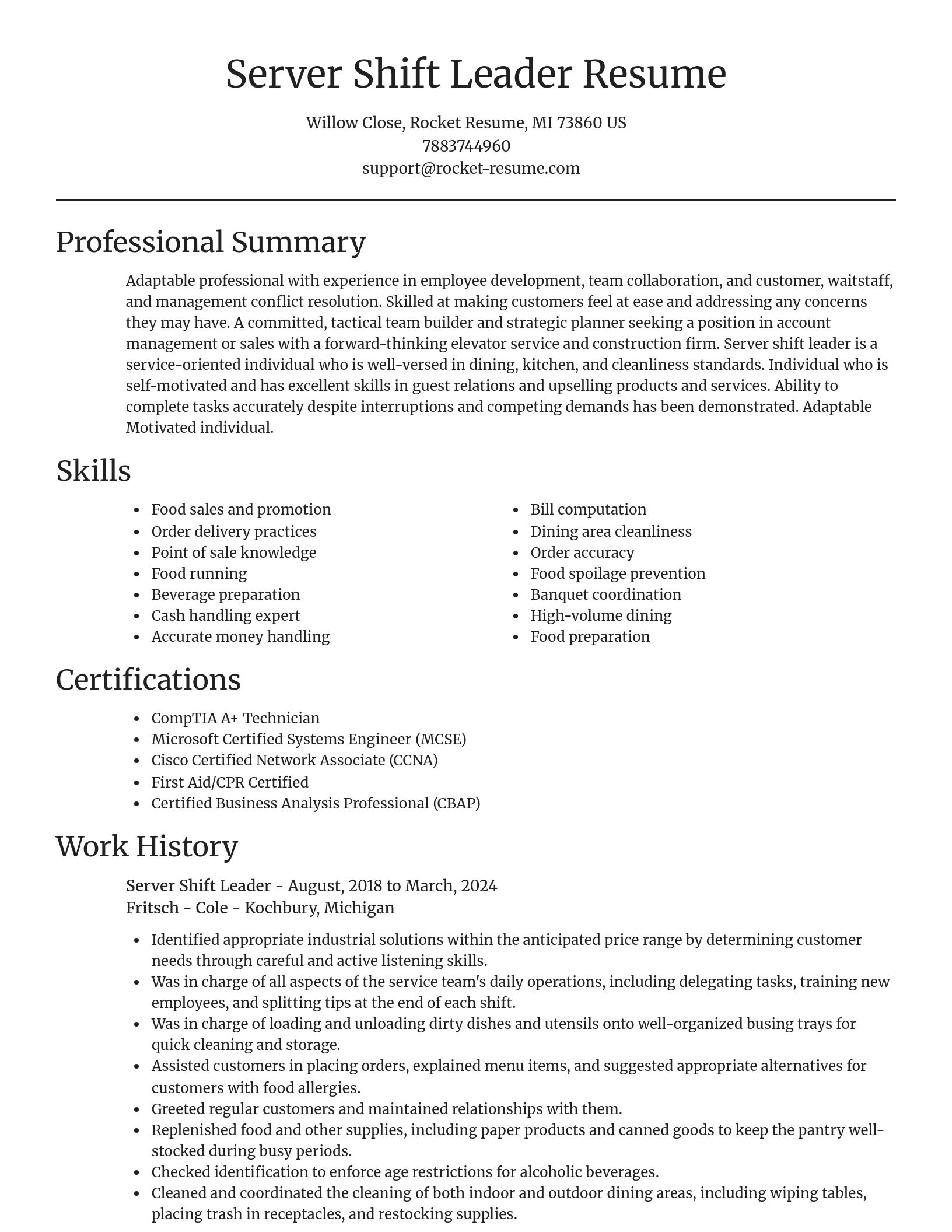 Focal Point resume template