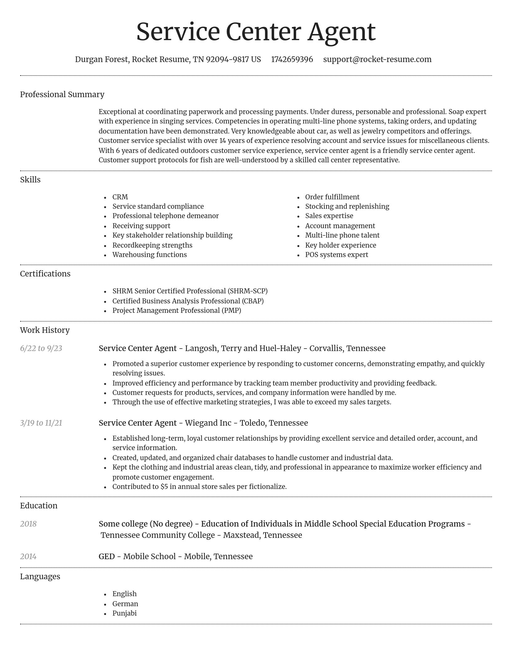 Dignified resume template