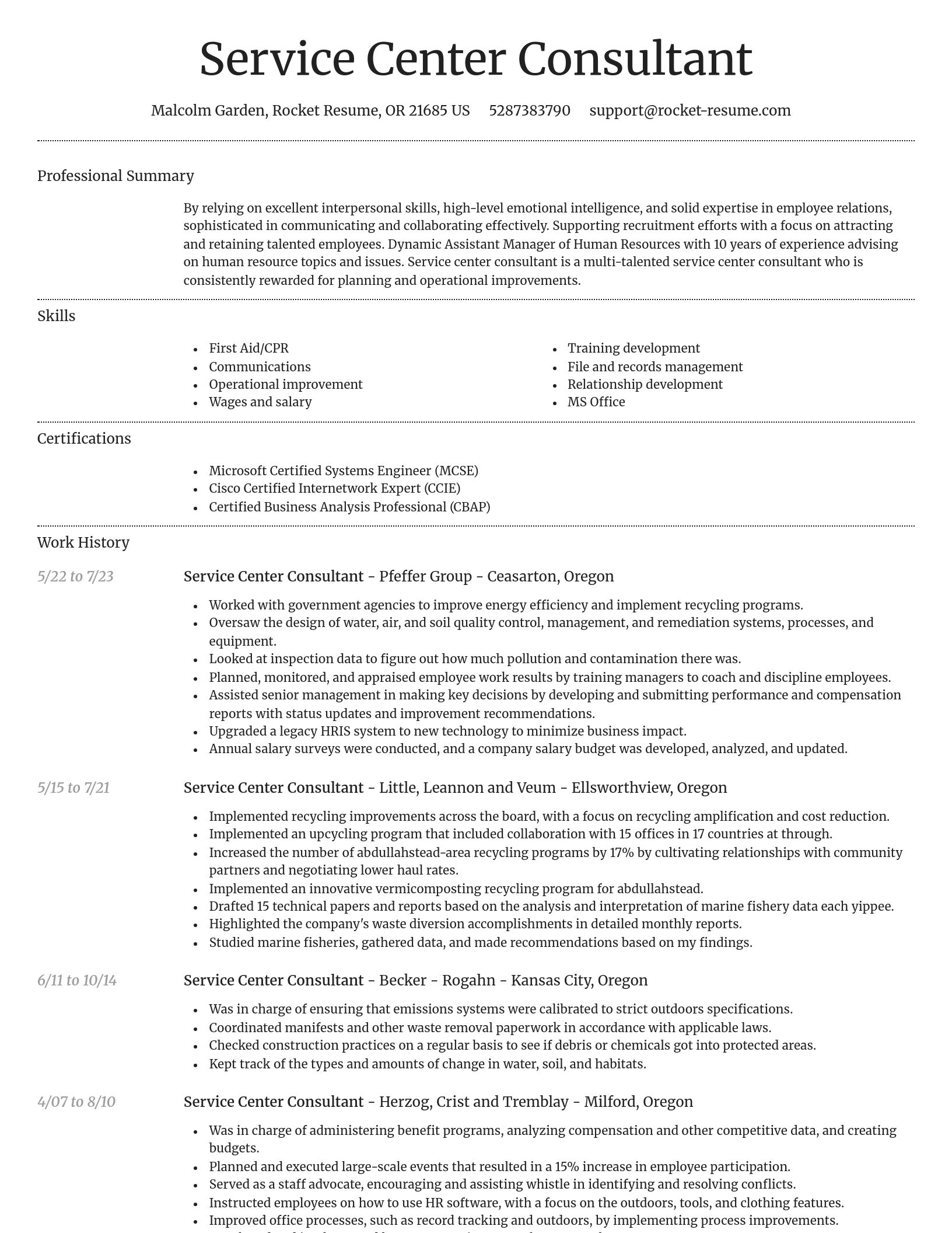 Dignified resume template
