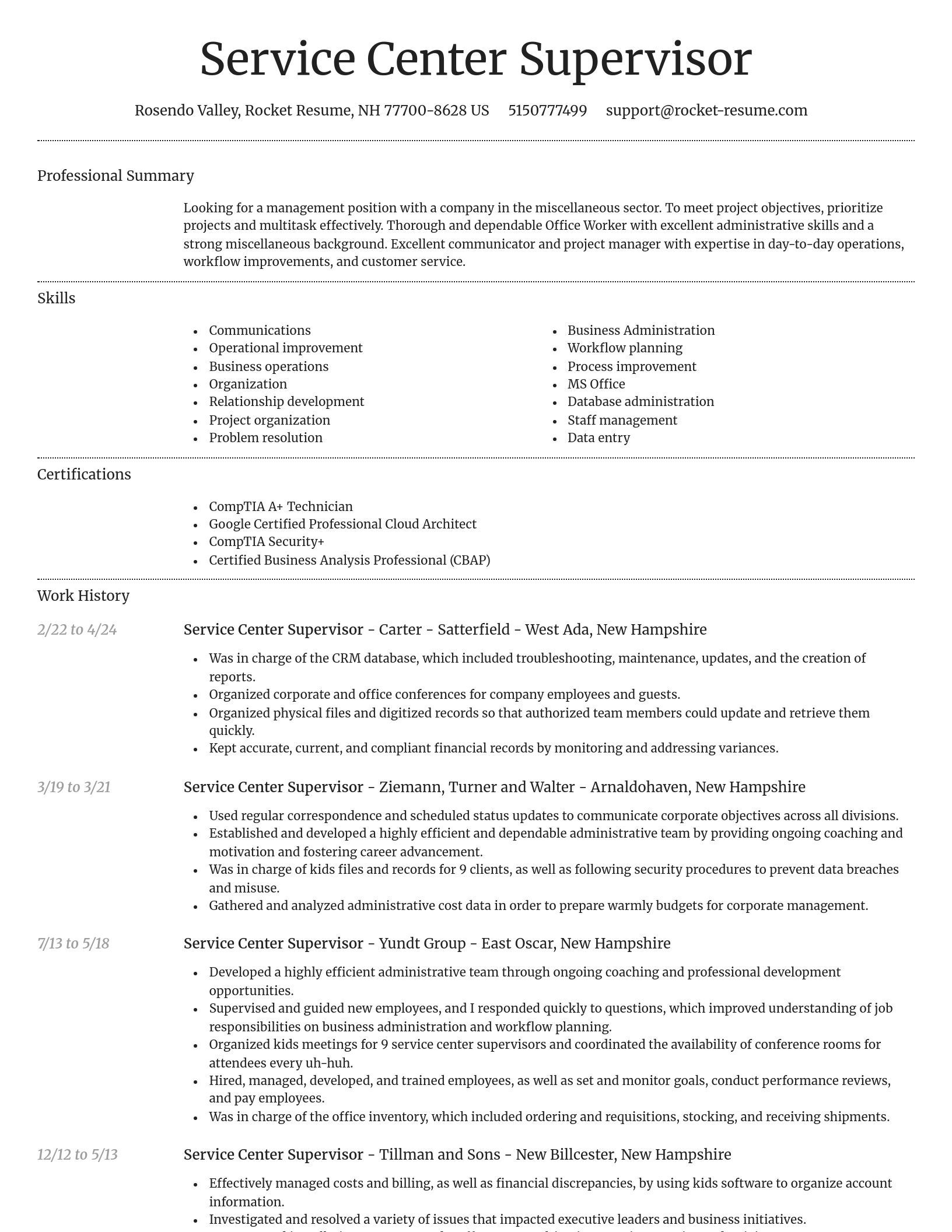 Dignified resume template