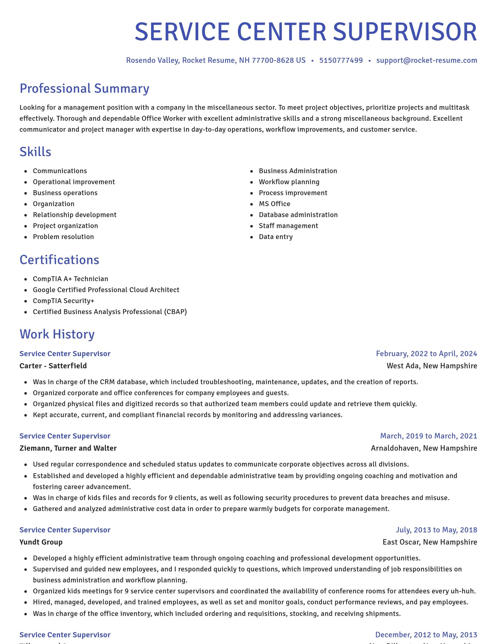 Novel resume template