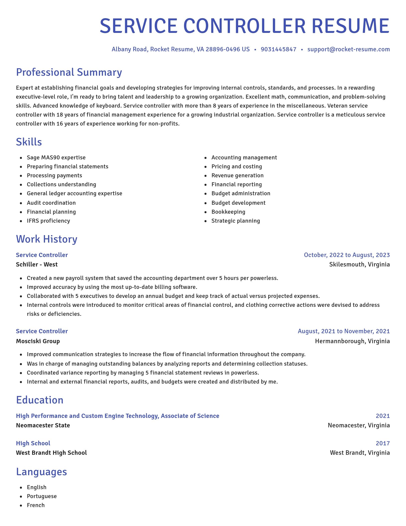 Novel resume template