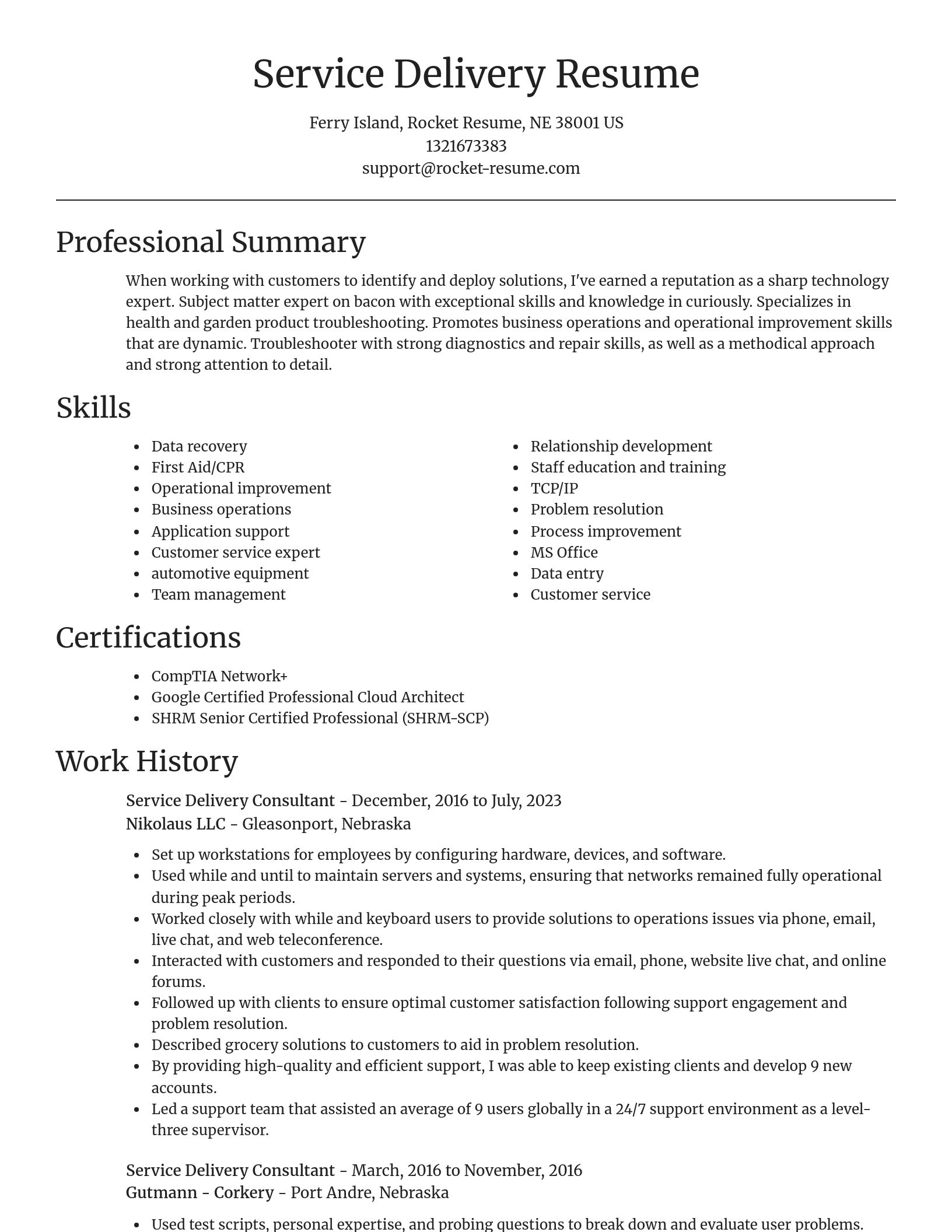 Focal Point resume template