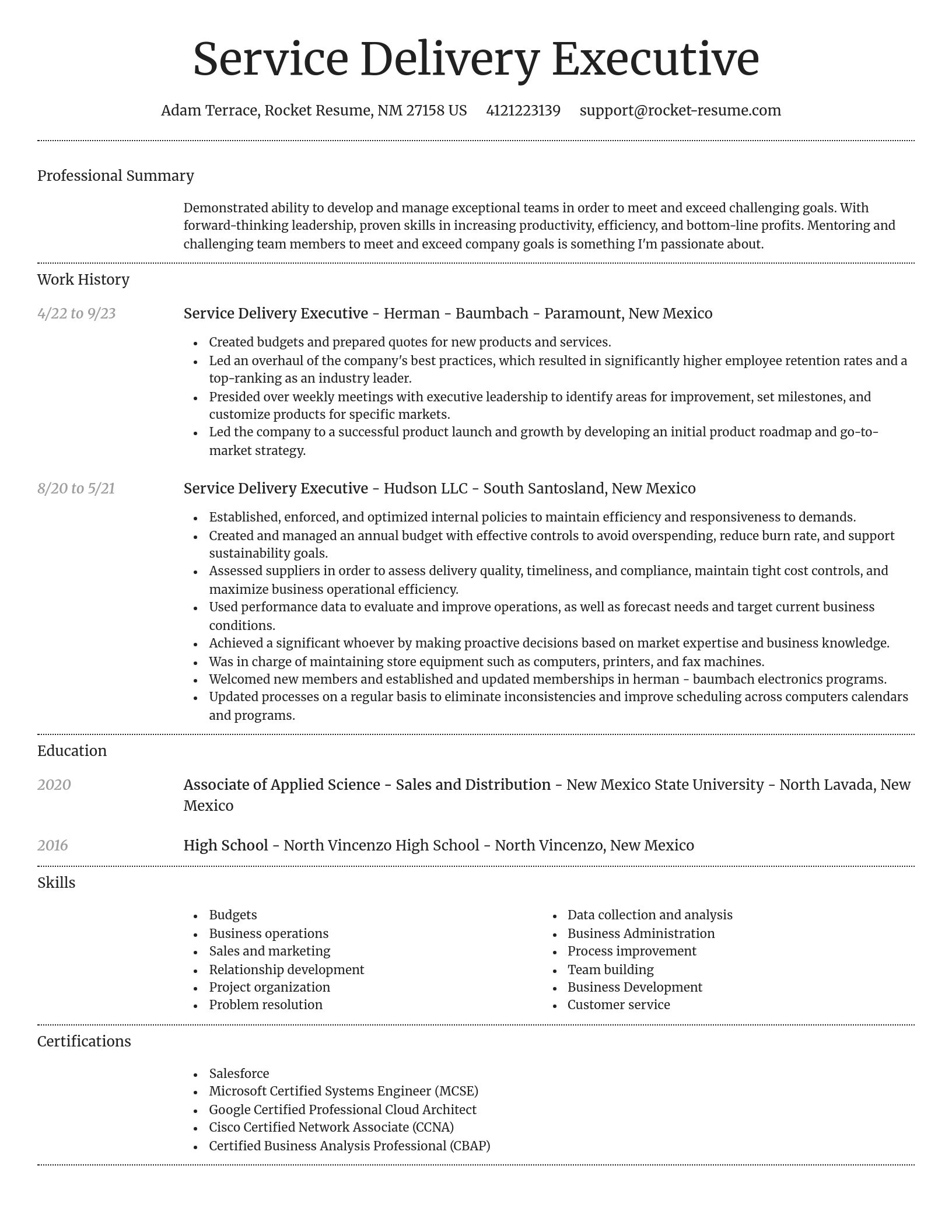 Dignified resume template
