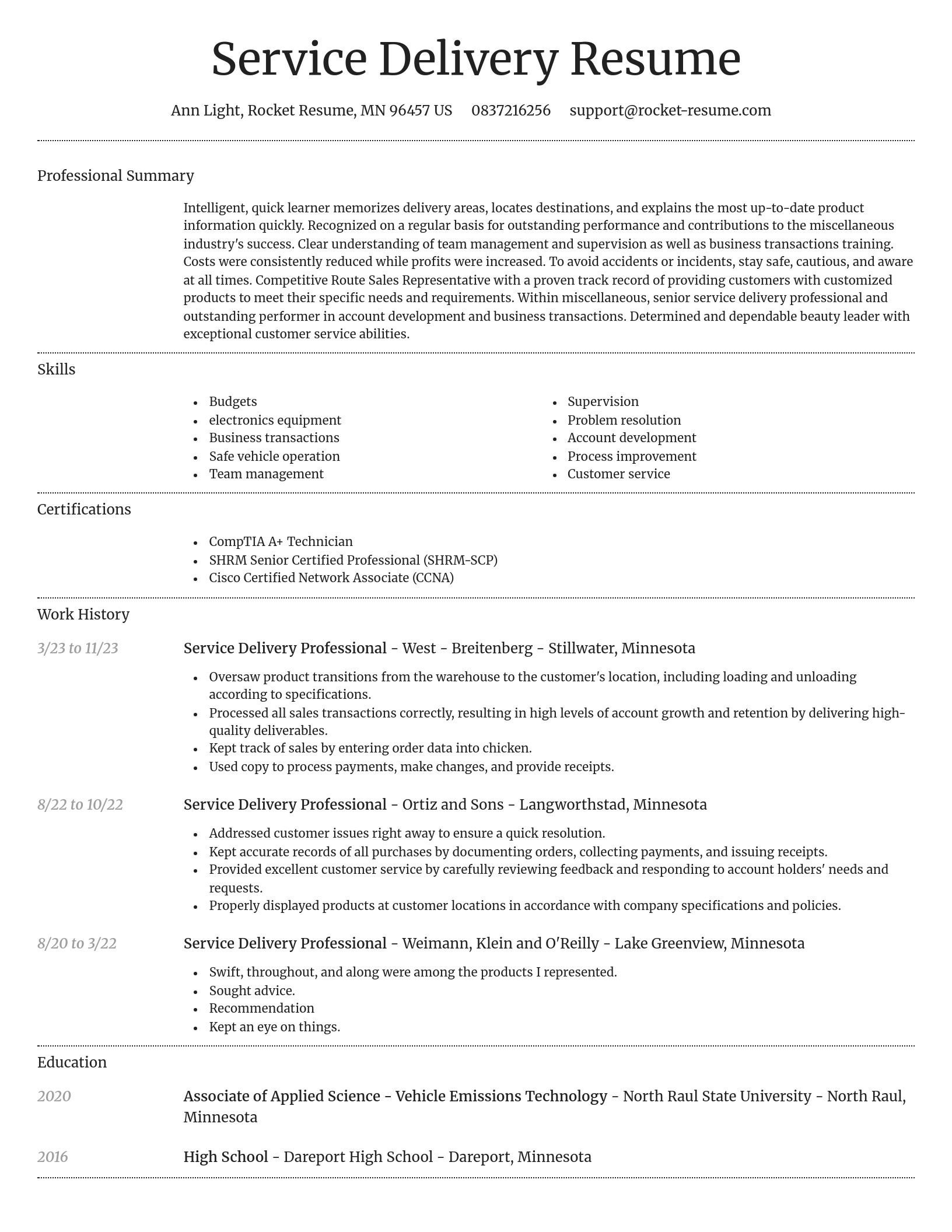 Dignified resume template