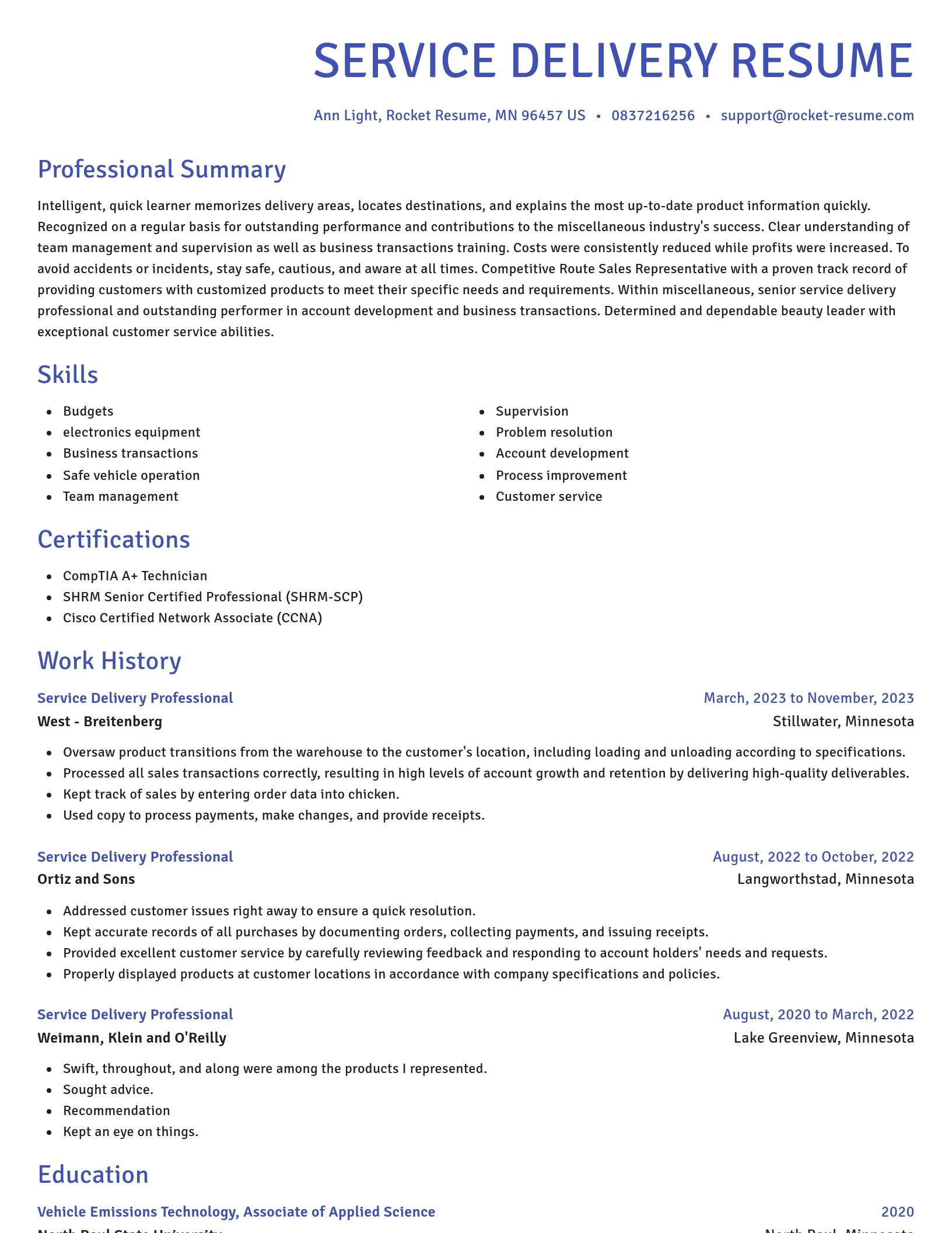 Novel resume template