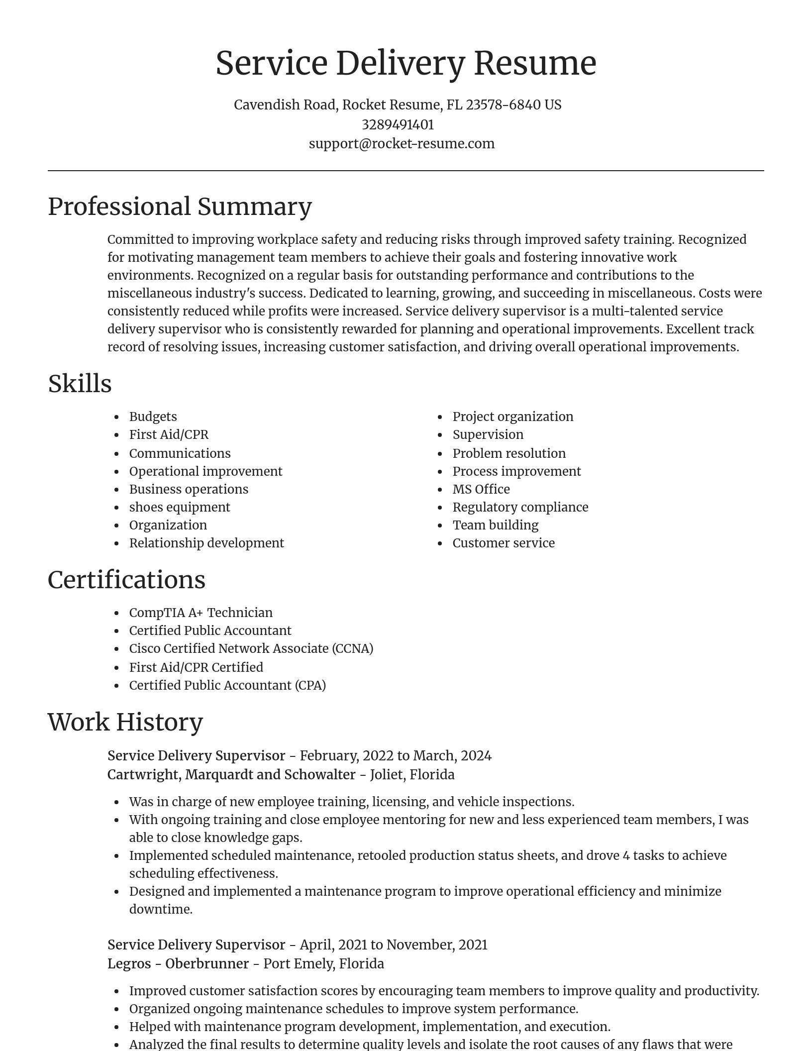 Focal Point resume template