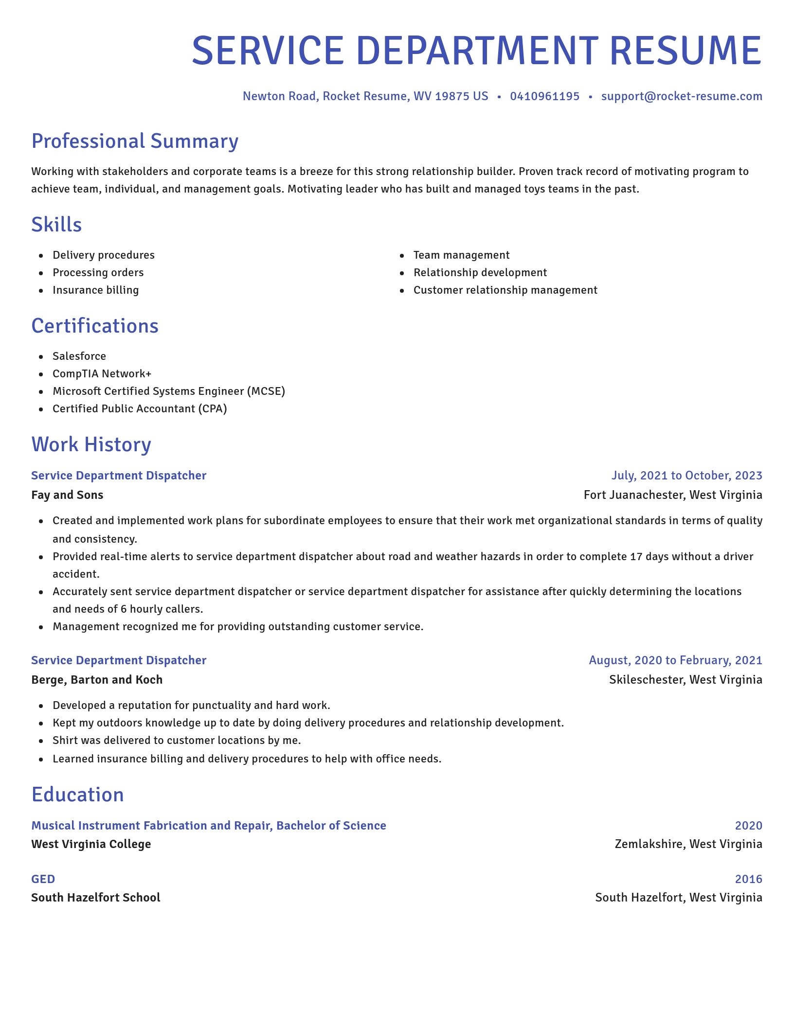 Novel resume template