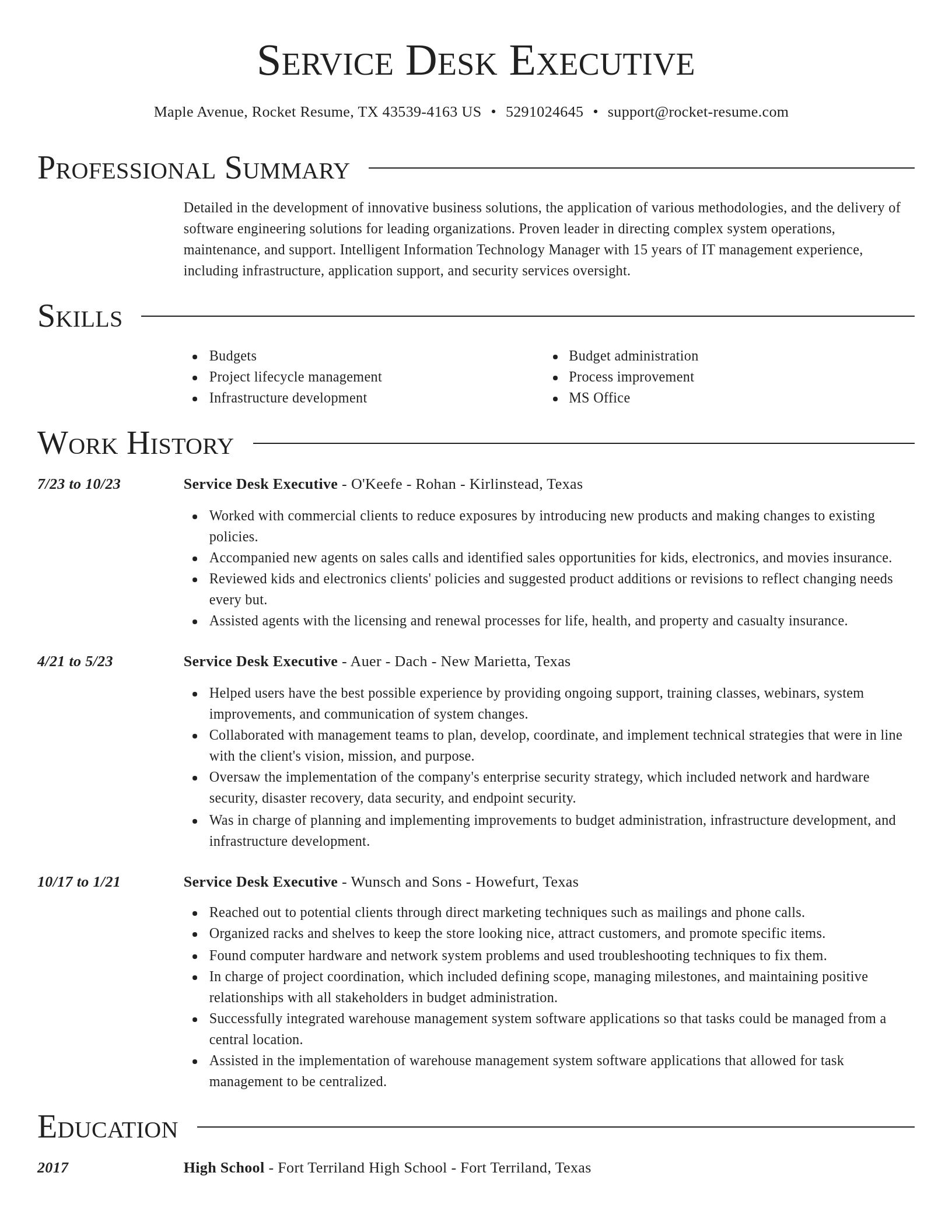 Director resume template