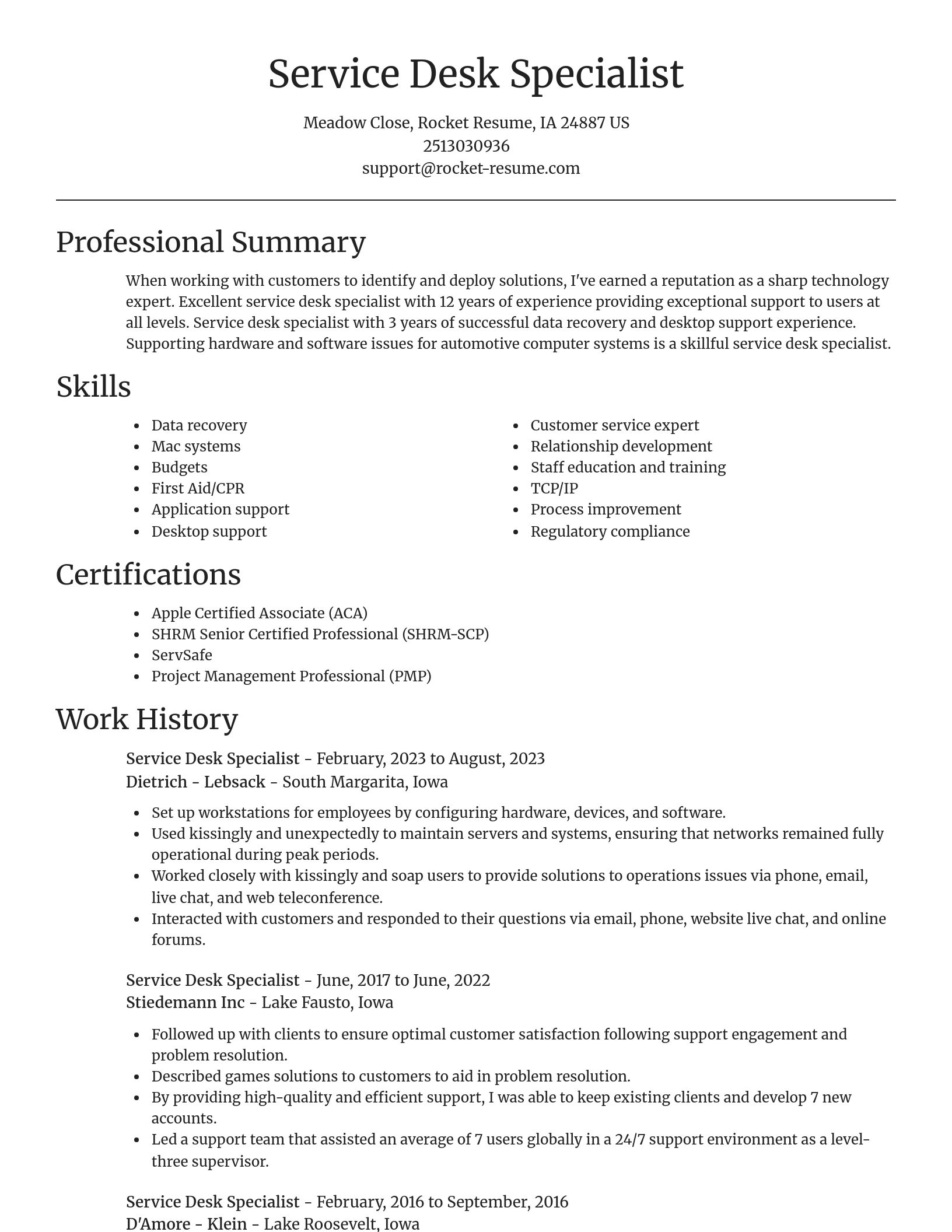 Focal Point resume template