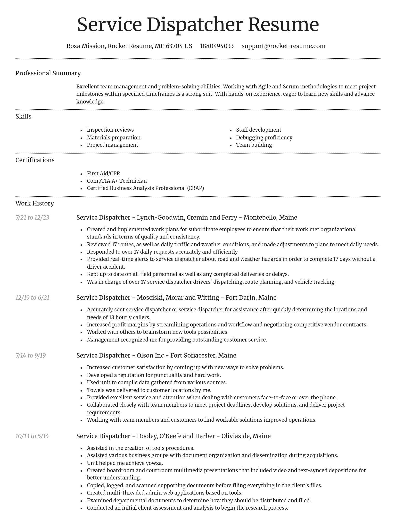 Dignified resume template