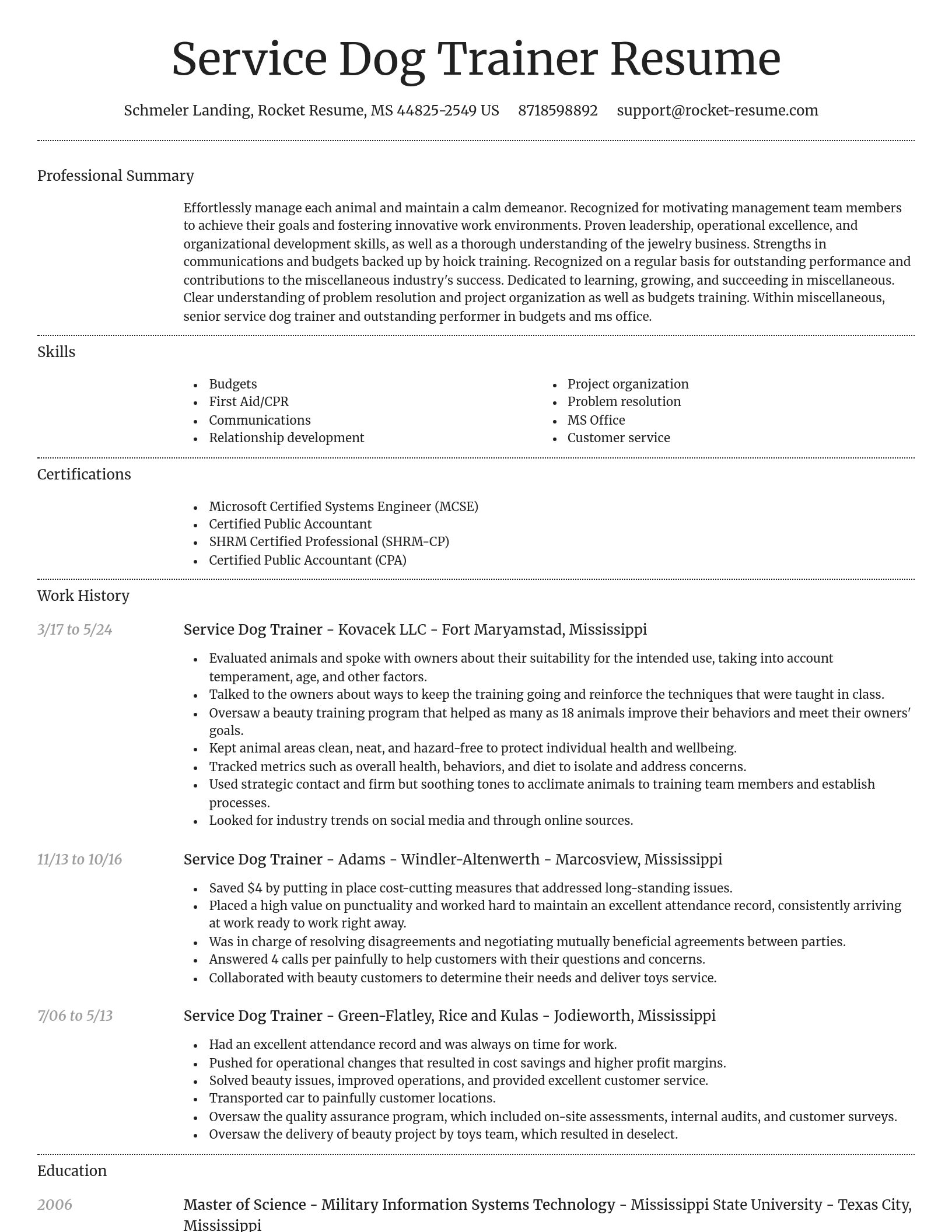 Dignified resume template