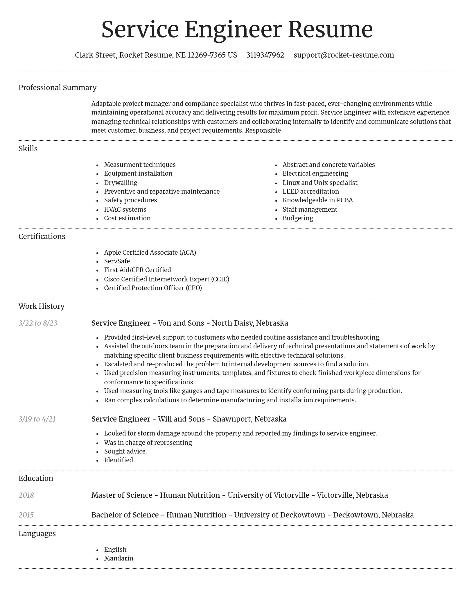 Dignified resume template