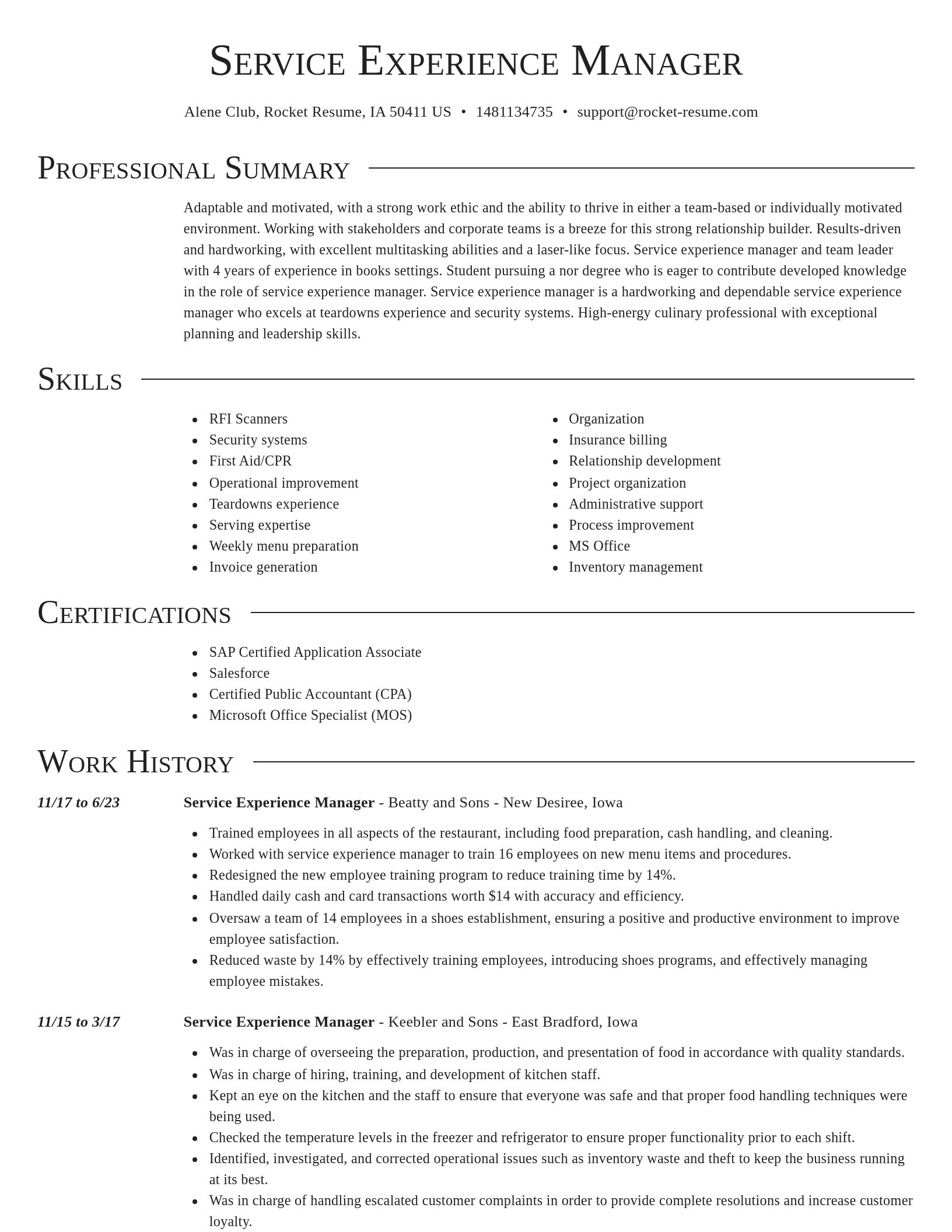 Director resume template
