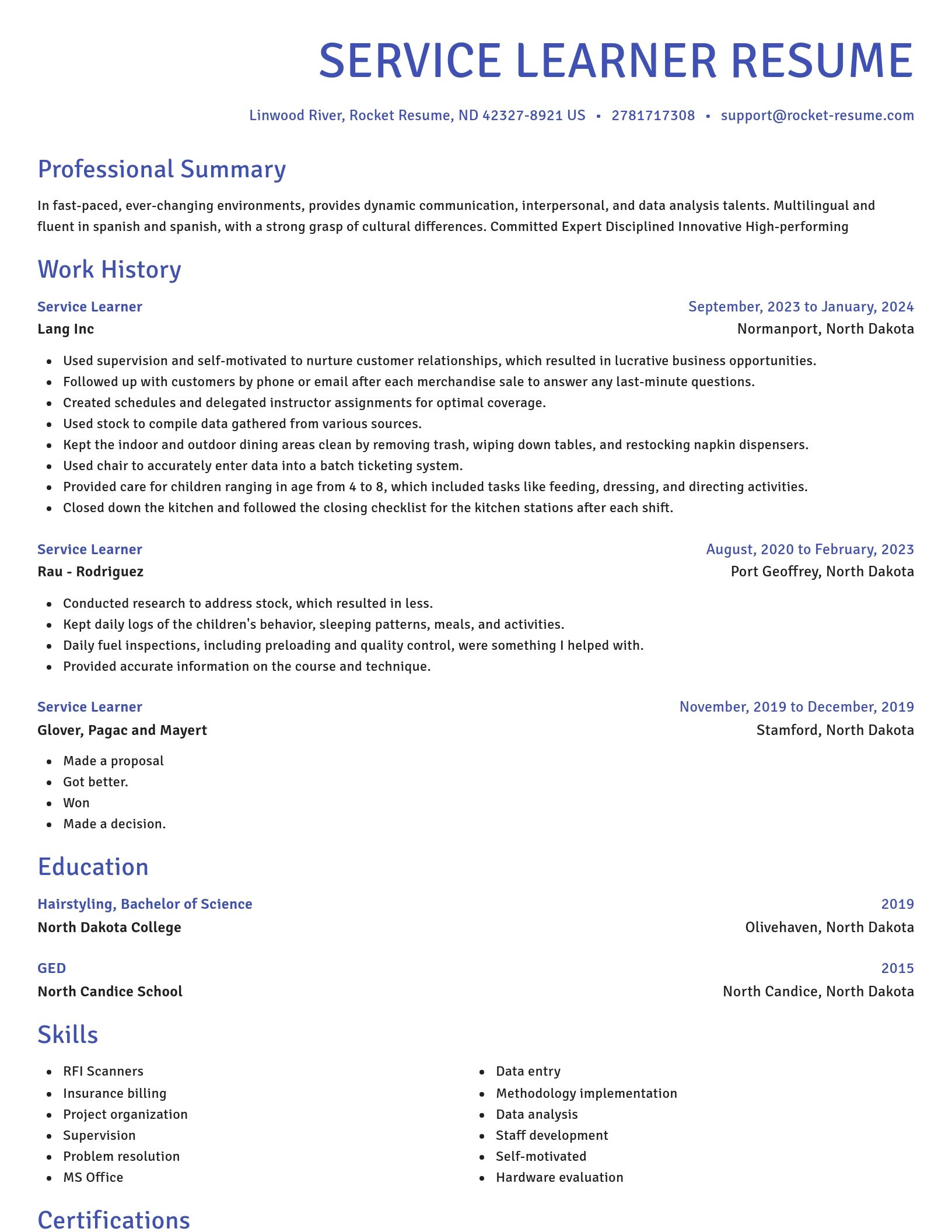 Novel resume template