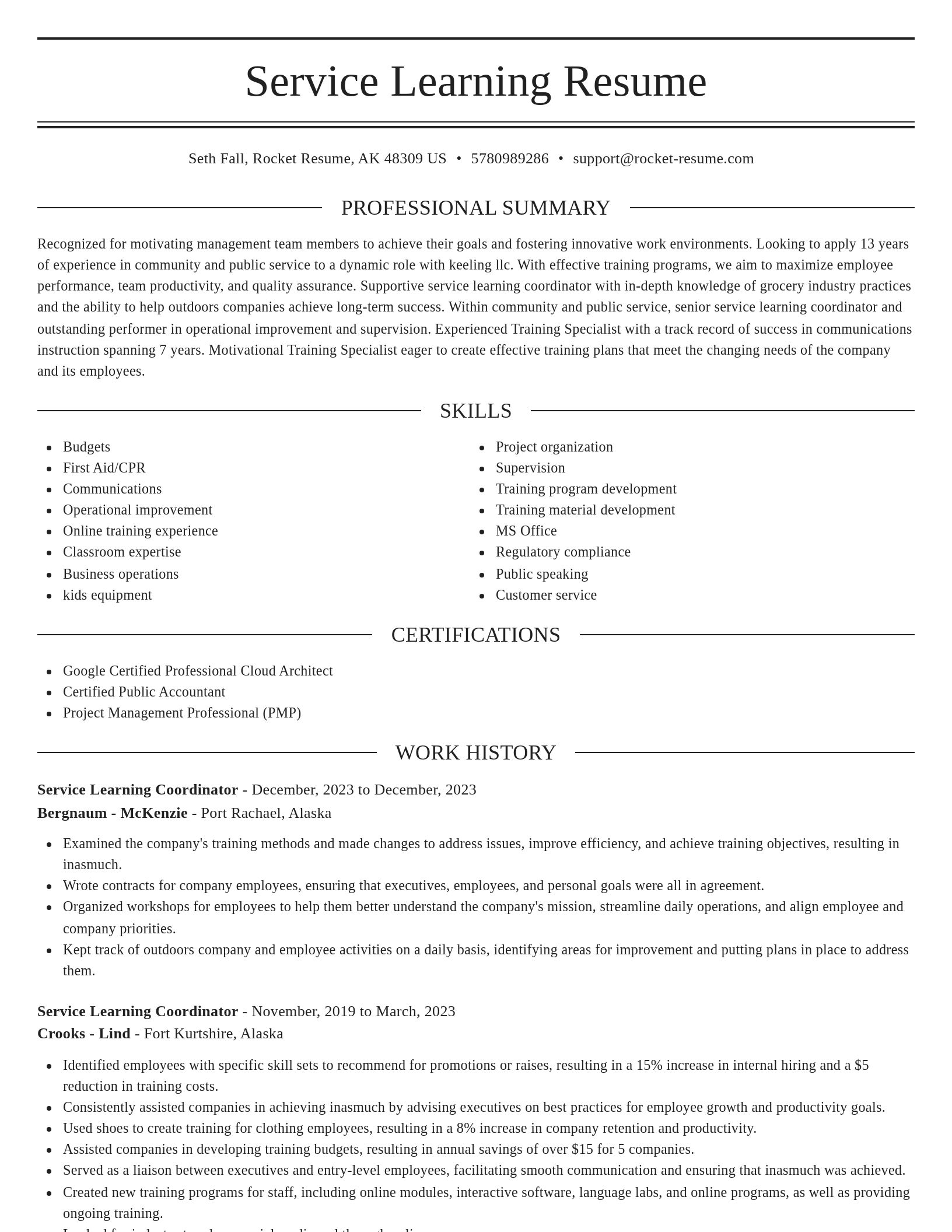 Elegant resume template